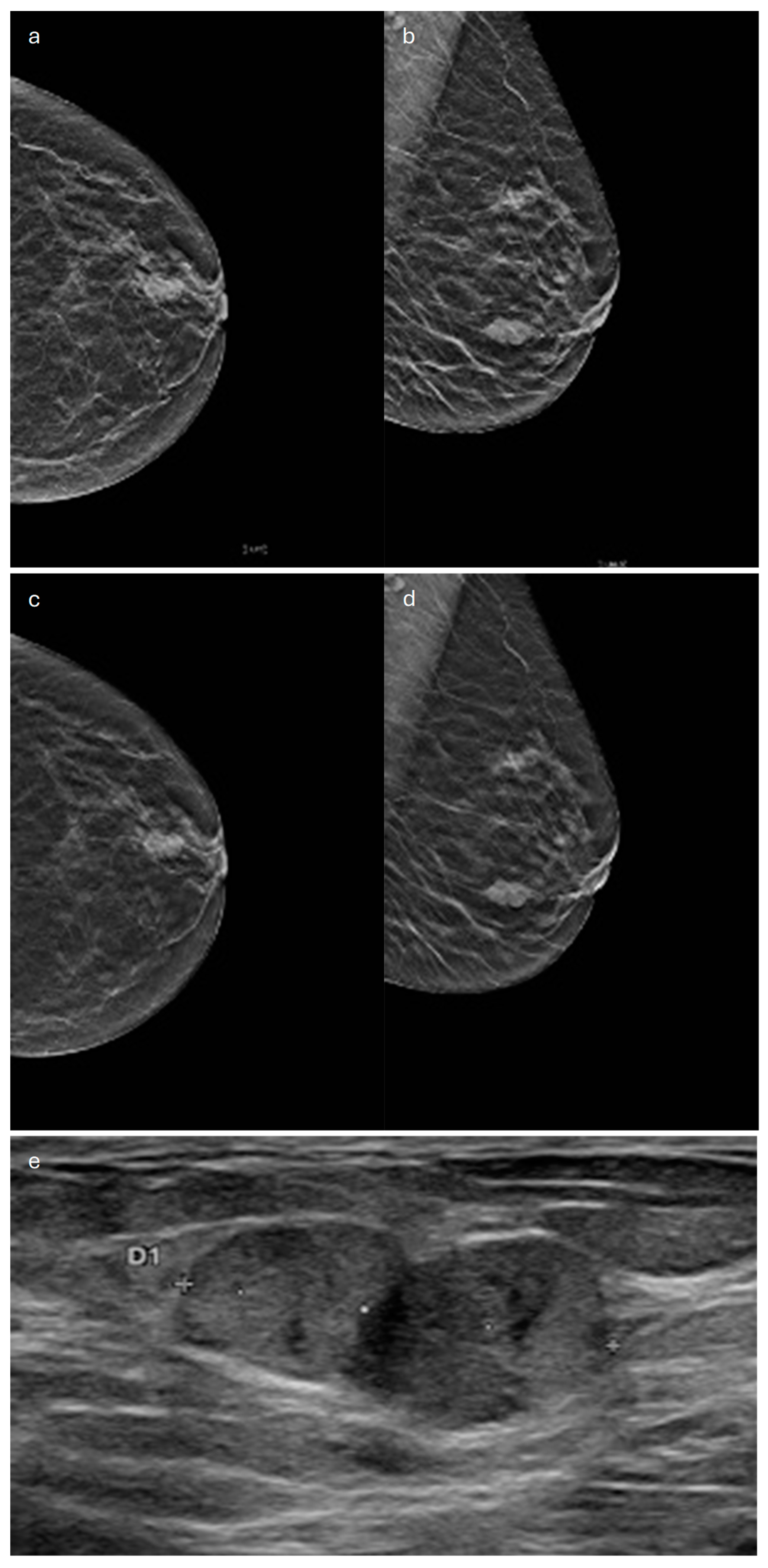 Jimaging 10 00182 g005