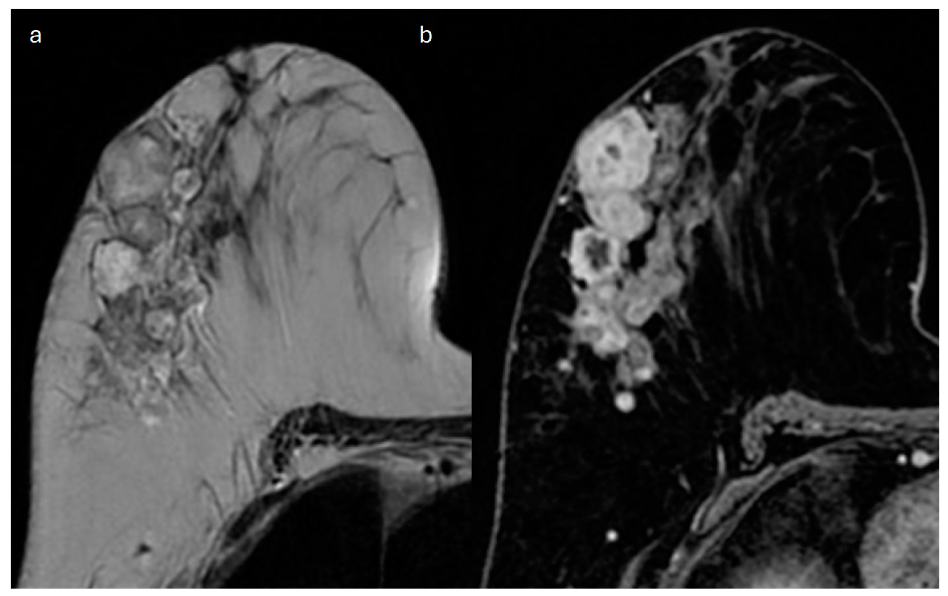 Jimaging 10 00182 g006