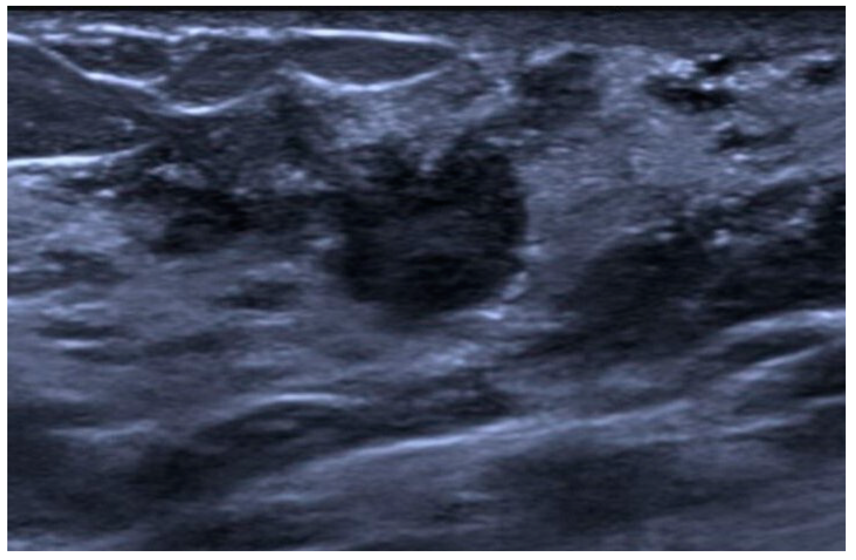 Jimaging 10 00182 g011