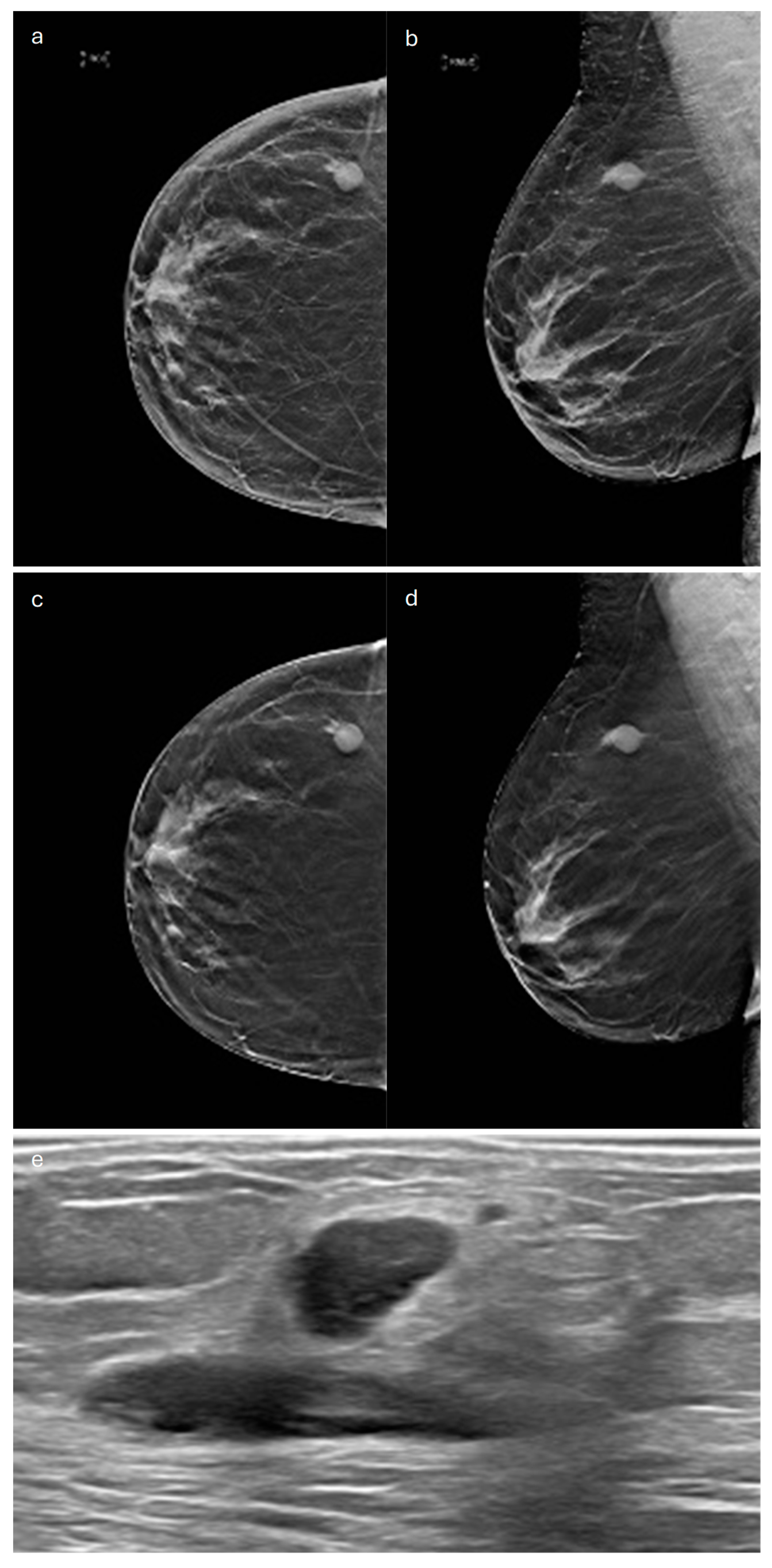 Jimaging 10 00182 g015a