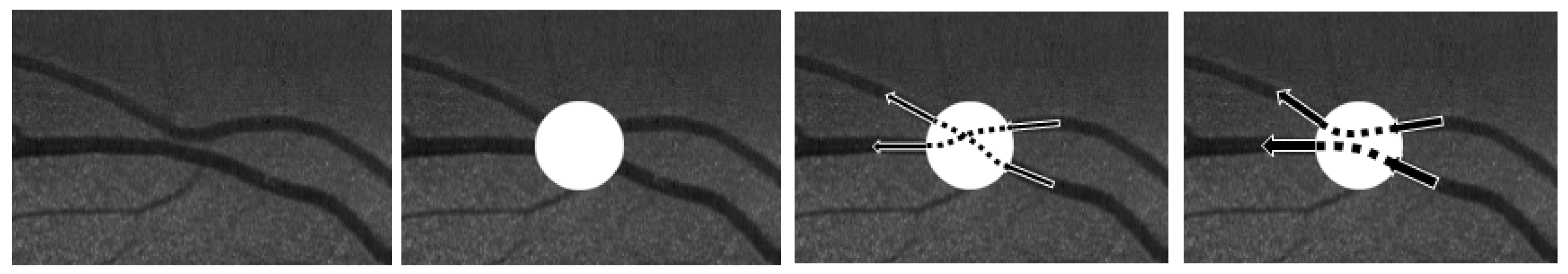 Jimaging 10 00185 g002 Jimaging 10 00185 g002