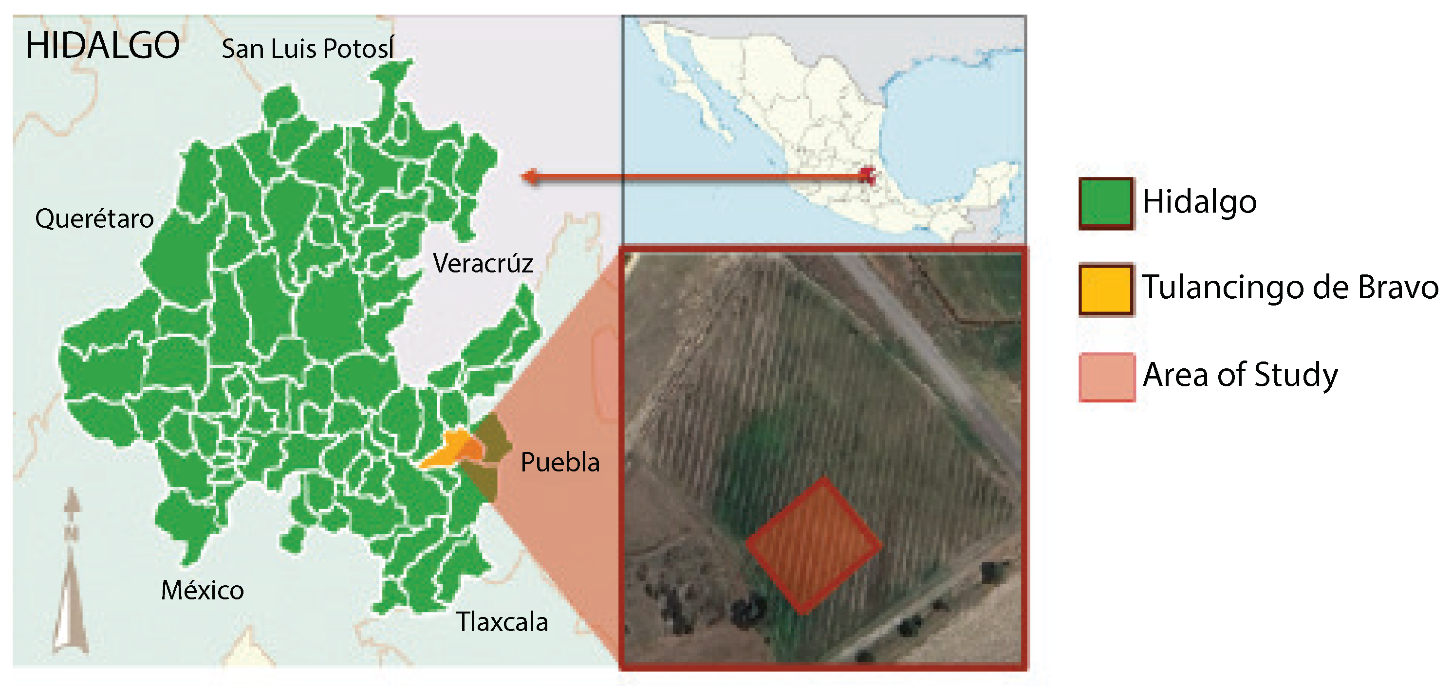 Jimaging 10 00187 g001