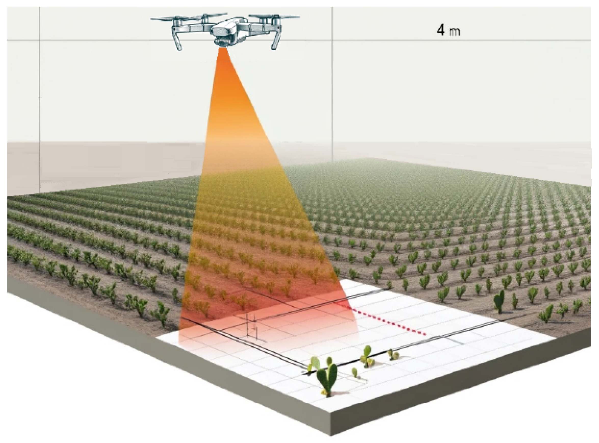 Jimaging 10 00187 g002