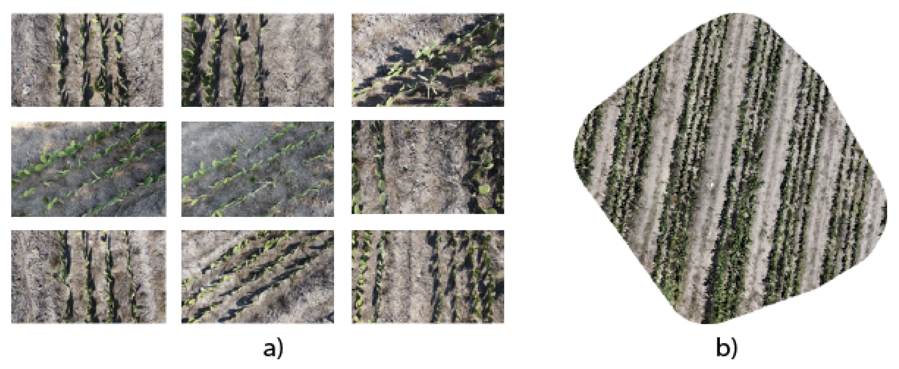 Jimaging 10 00187 g006