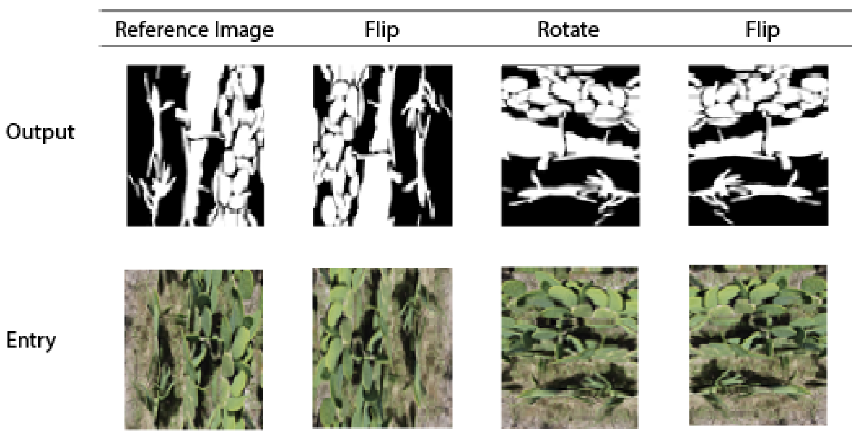 Jimaging 10 00187 g008