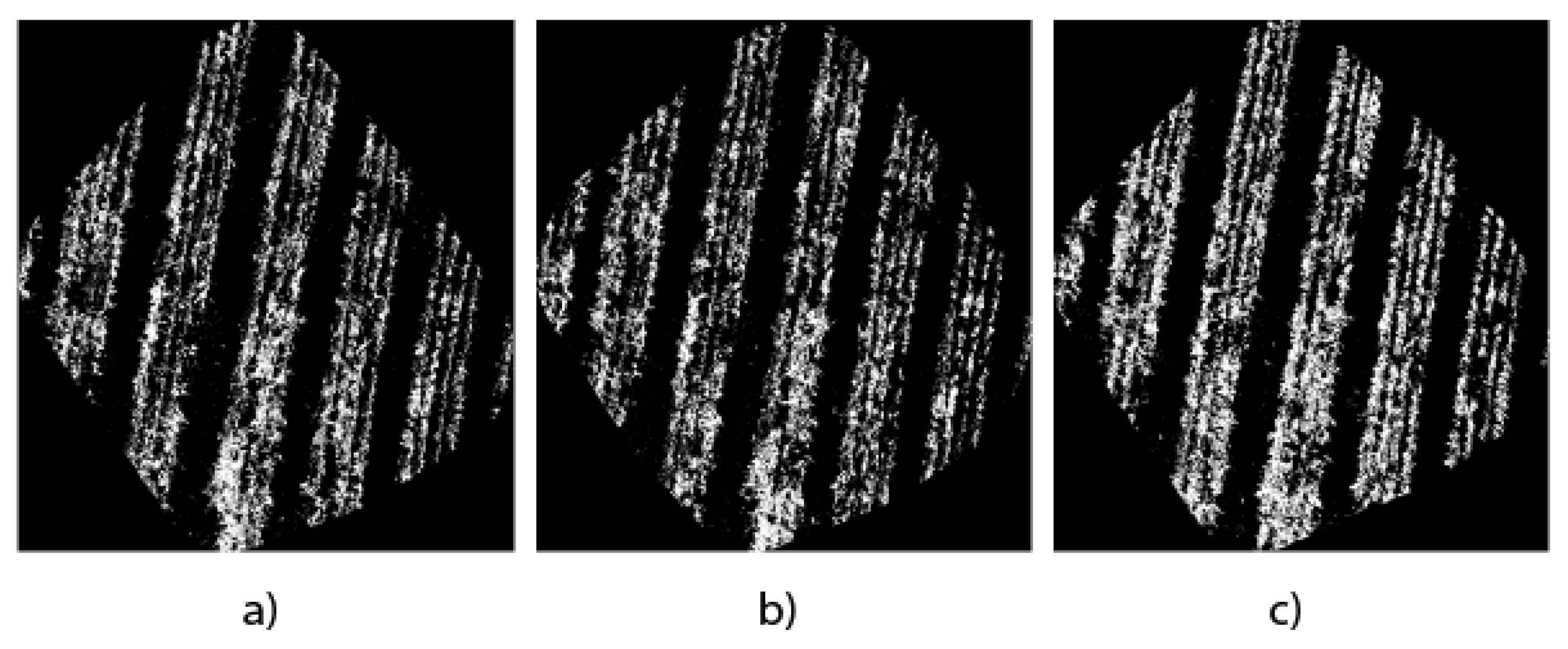 Jimaging 10 00187 g010
