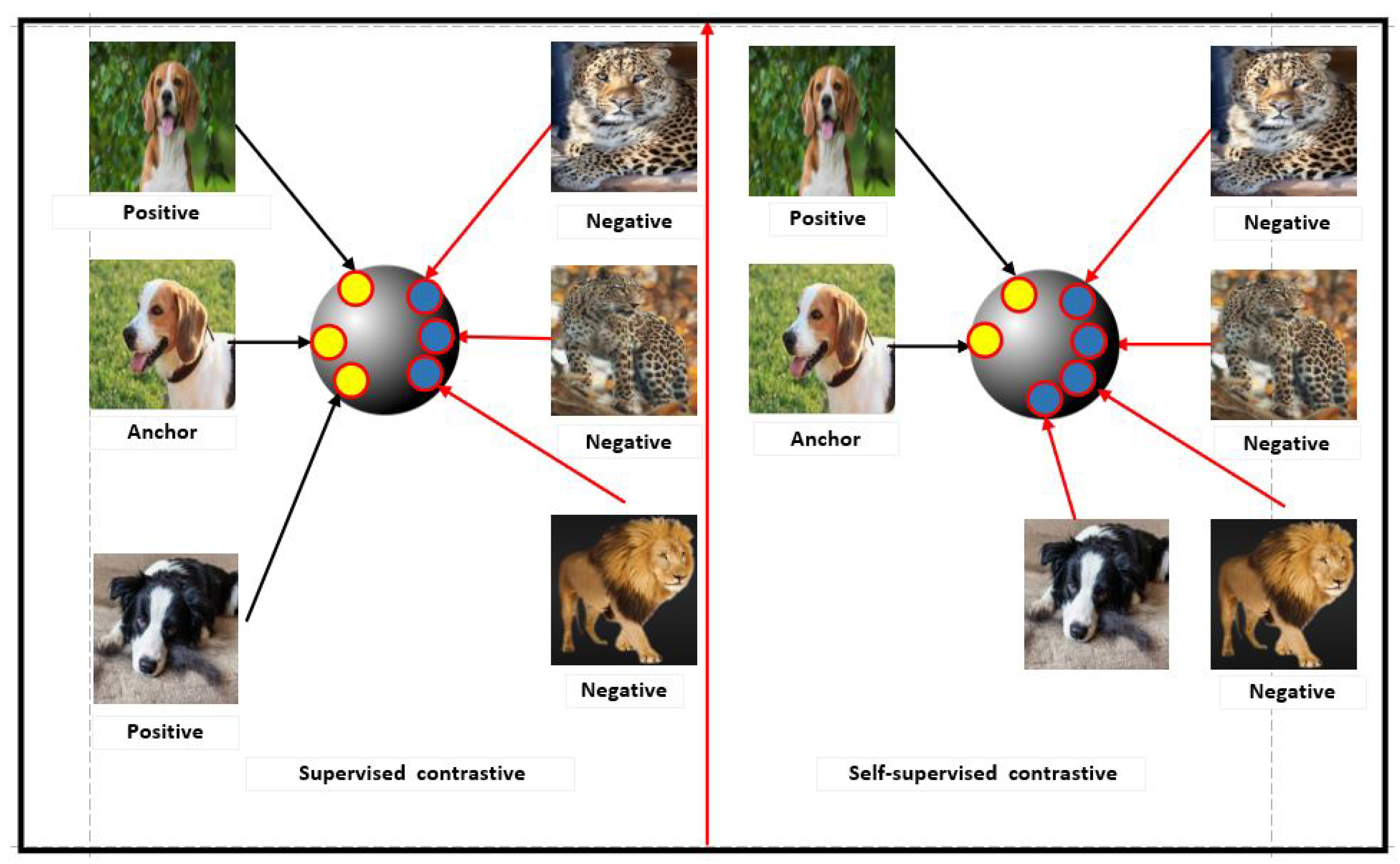 Jimaging 10 00196 g005