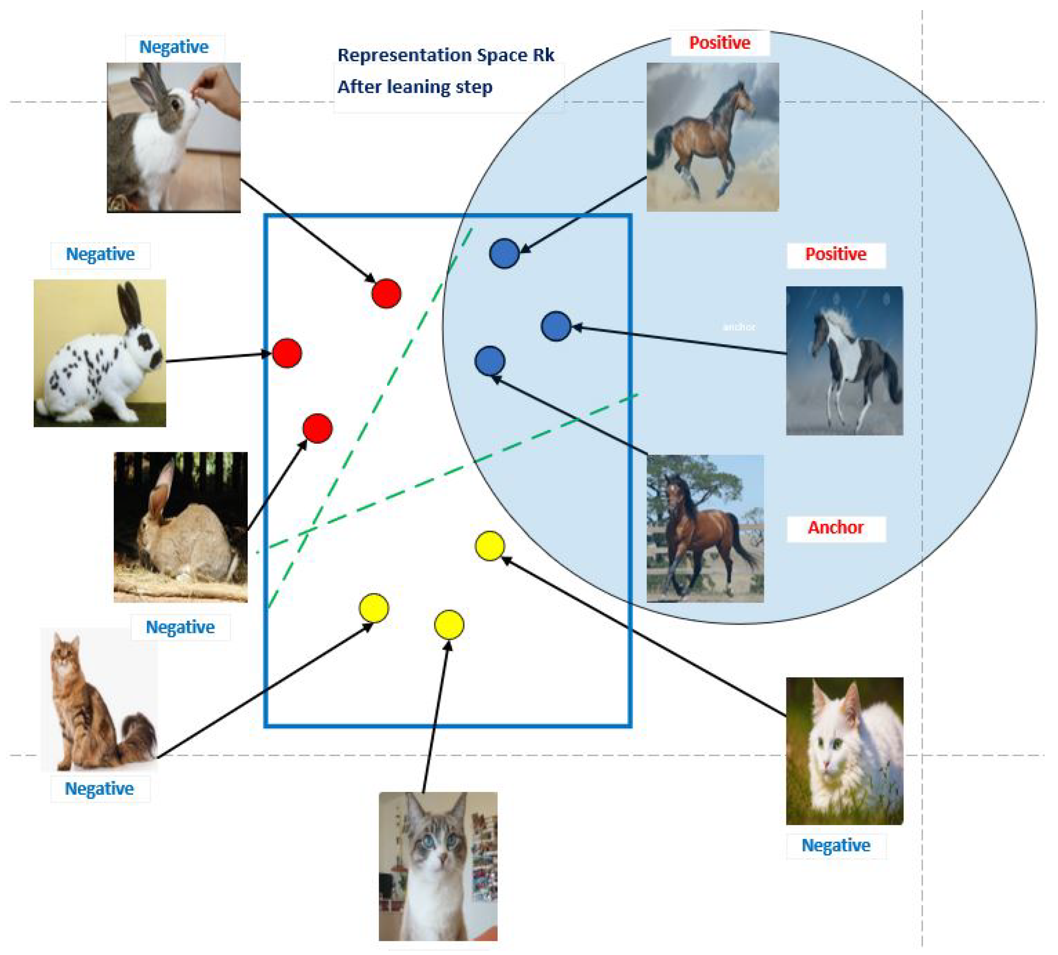 Jimaging 10 00196 g006