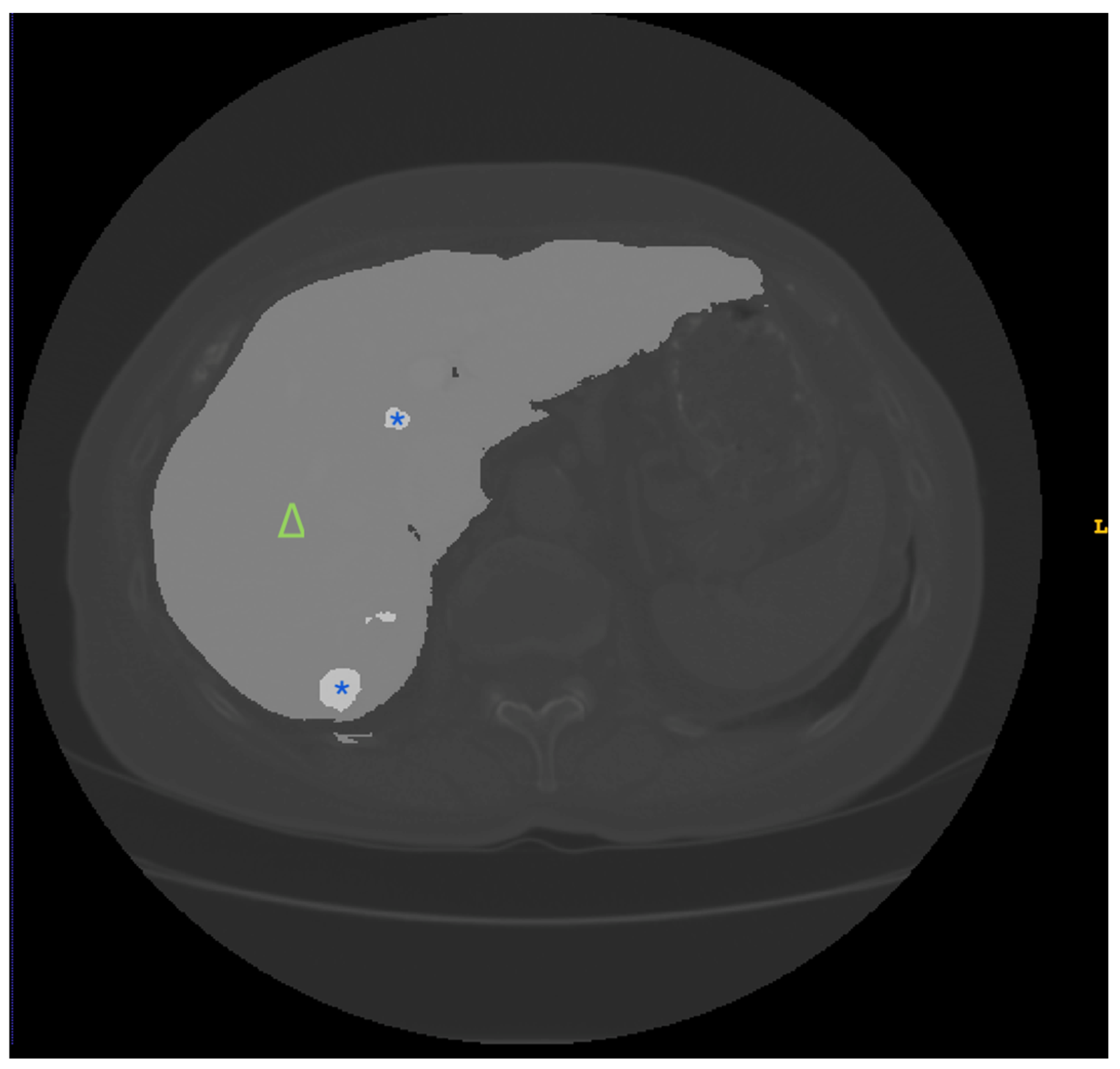 Jimaging 10 00202 g001