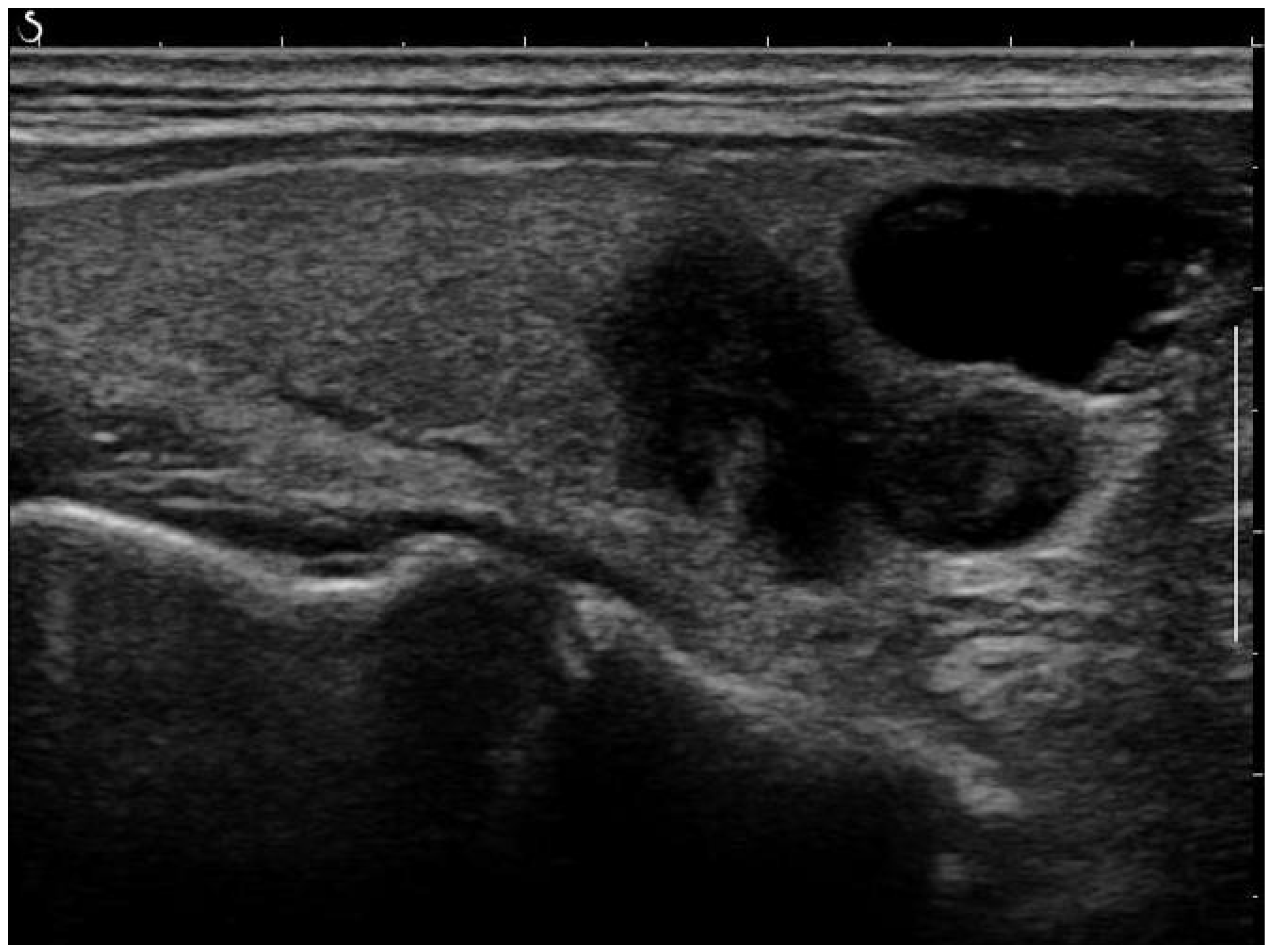 Jimaging 10 00203 g001