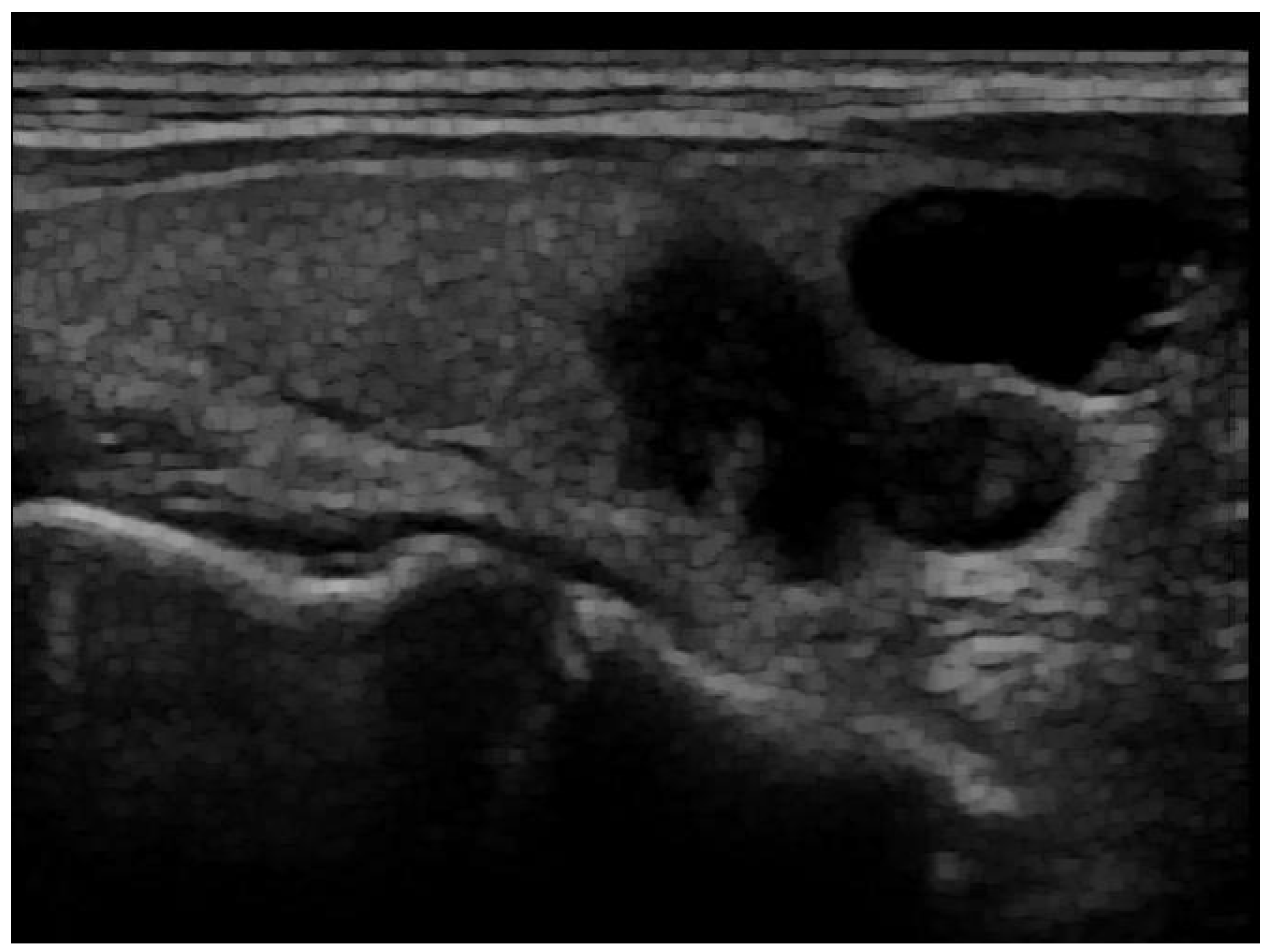 Jimaging 10 00203 g002