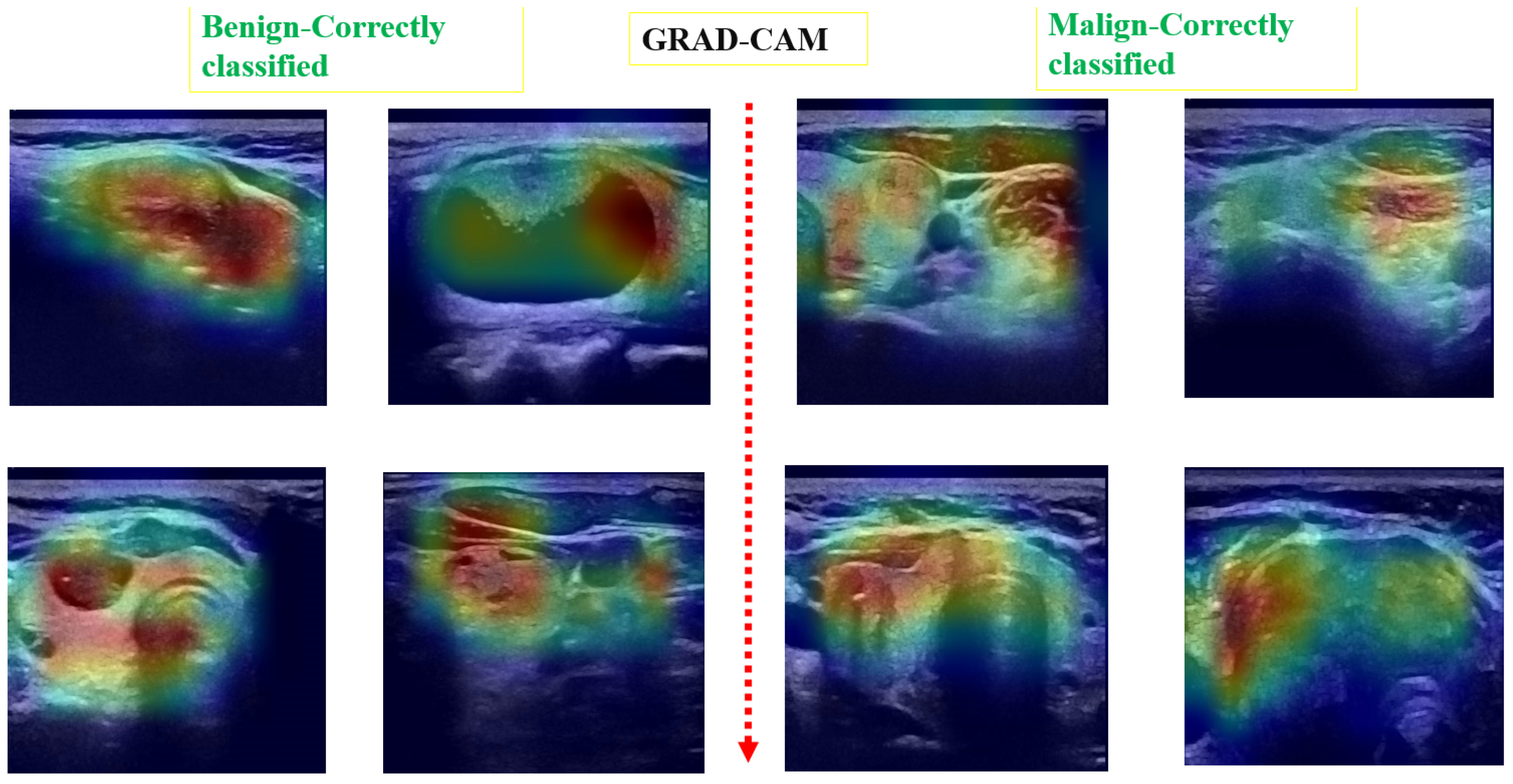 Jimaging 10 00203 g008