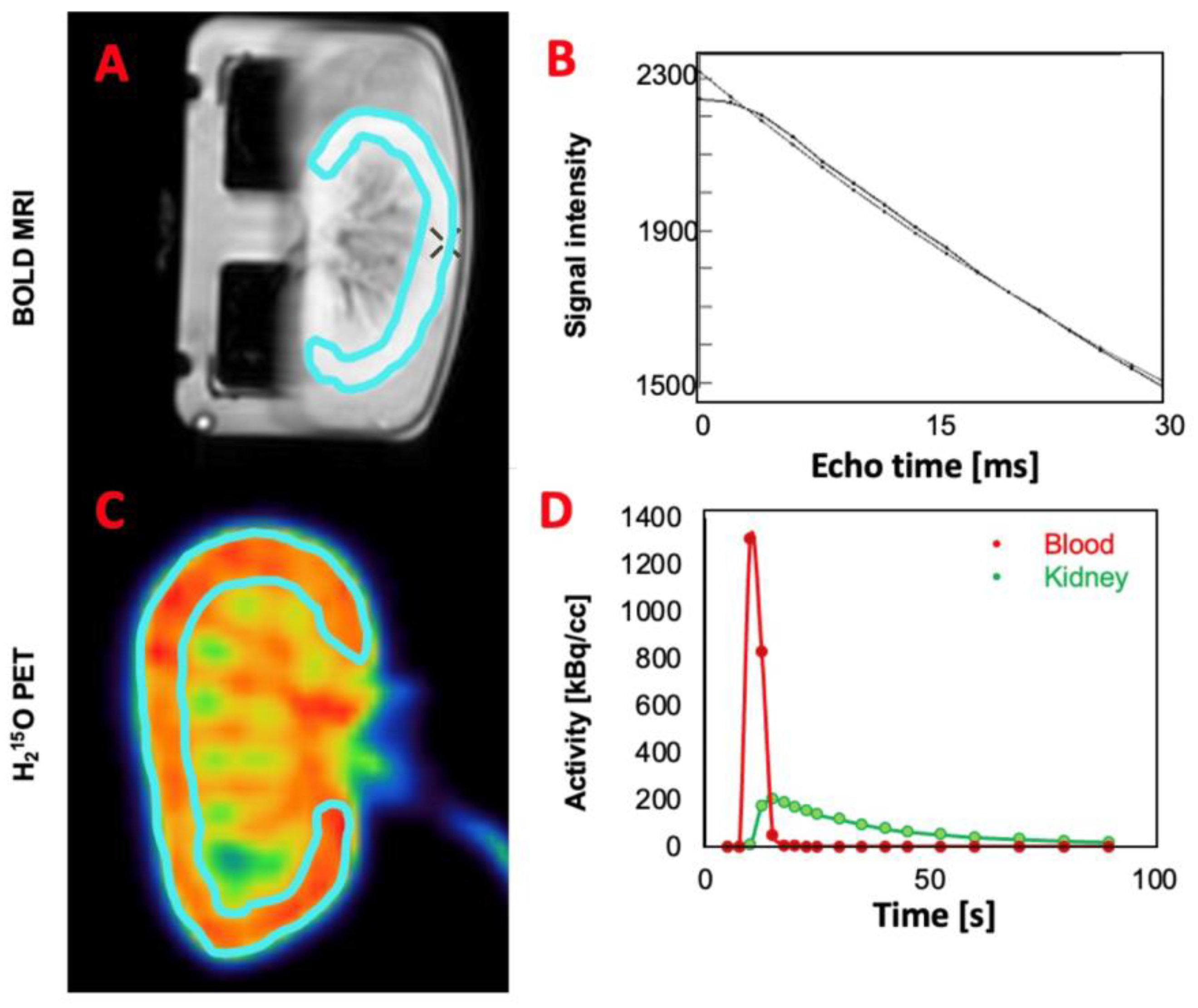 Jimaging 10 00209 g002