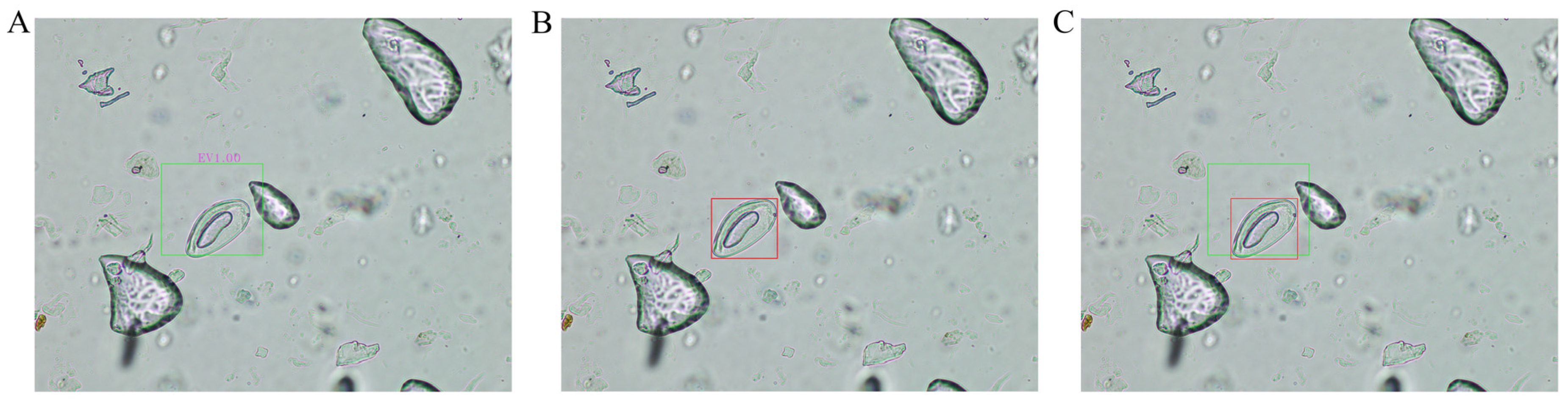 Jimaging 10 00212 g006