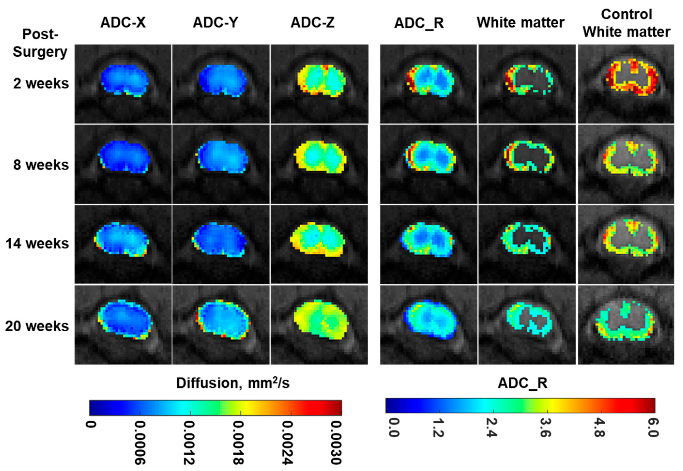 Jimaging 10 00213 g004
