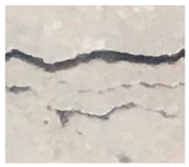 Jimaging 10 00215 i005