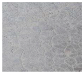 Jimaging 10 00215 i008