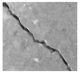 Jimaging 10 00215 i013