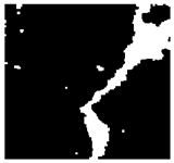 Jimaging 10 00215 i019