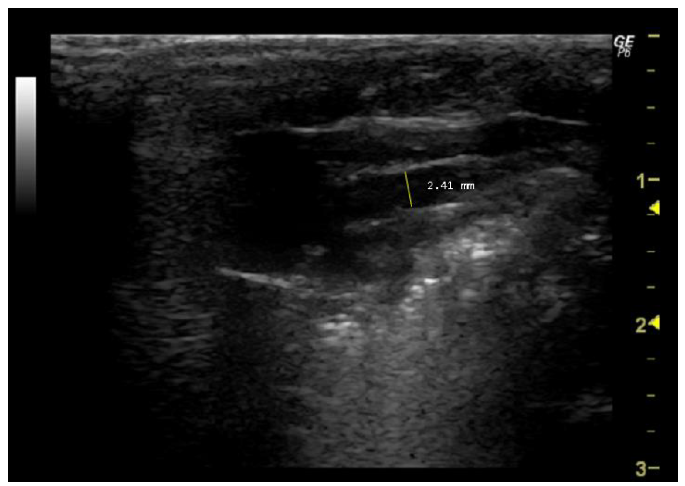 Jimaging 10 00219 g002 Jimaging 10 00219 g002