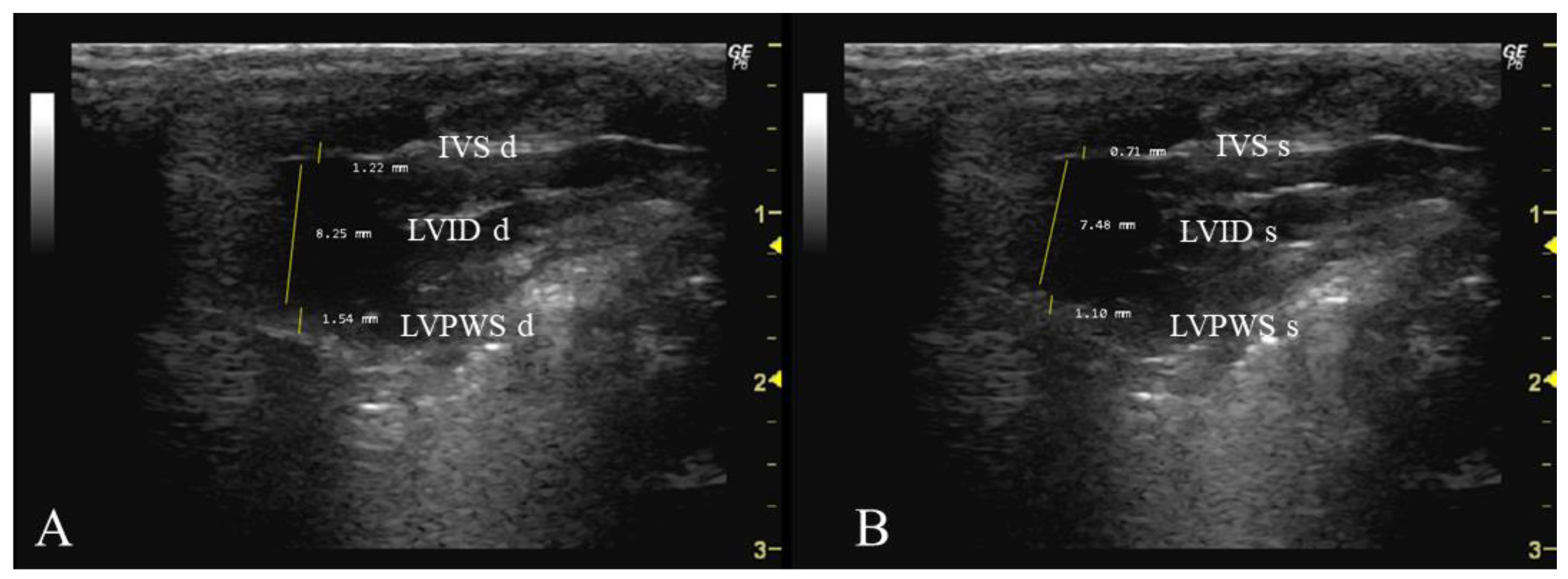 Jimaging 10 00219 g003 Jimaging 10 00219 g003