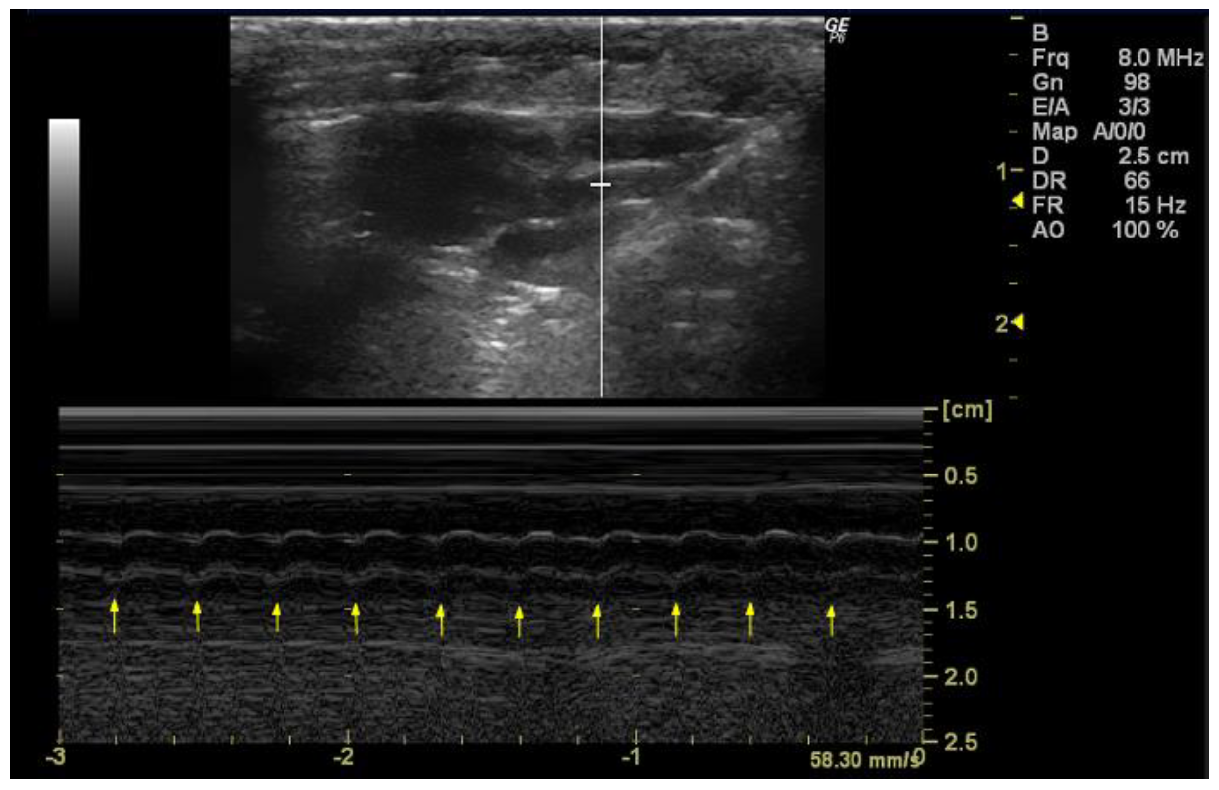 Jimaging 10 00219 g004 Jimaging 10 00219 g004
