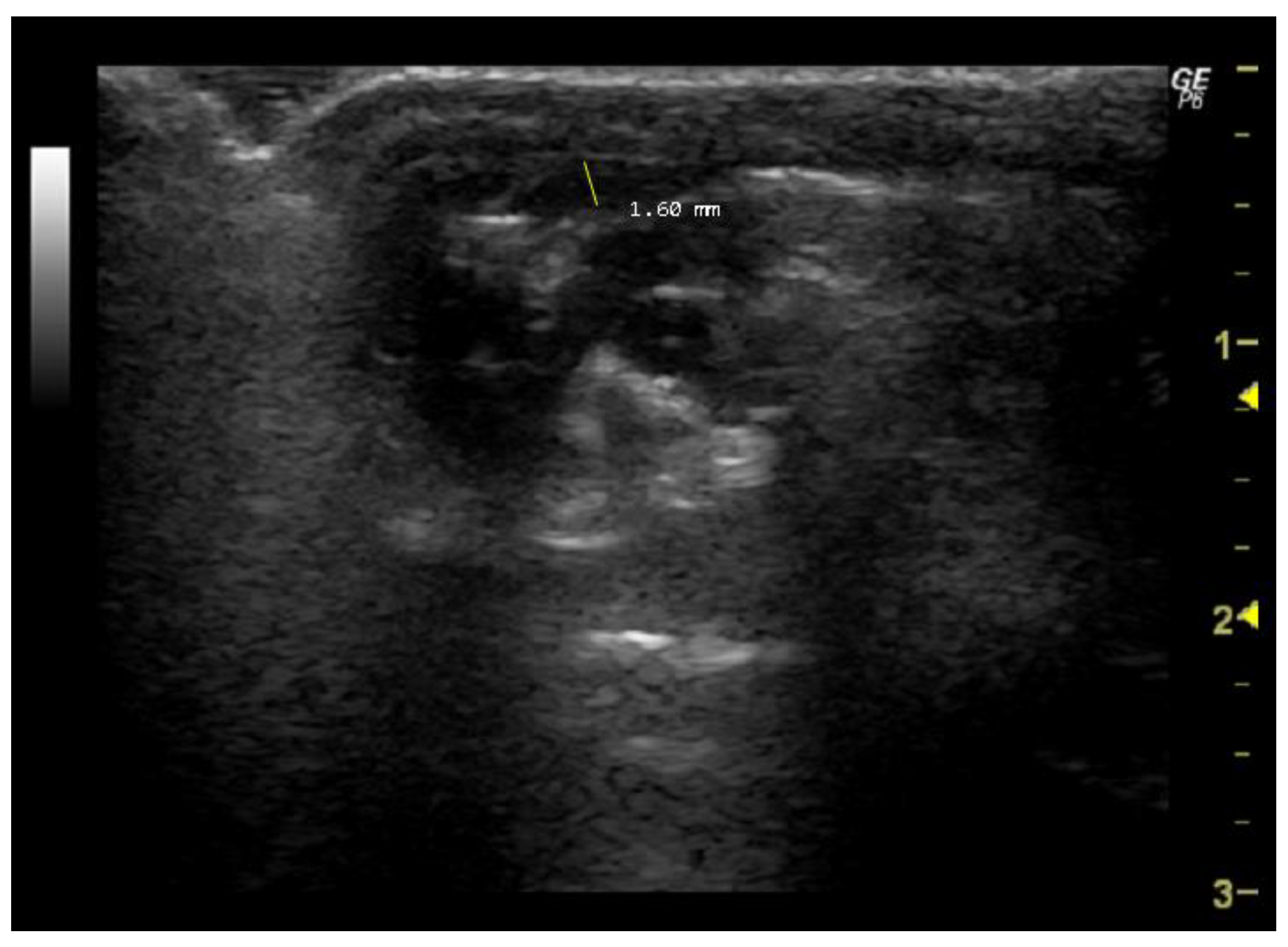 Jimaging 10 00219 g007 Jimaging 10 00219 g007