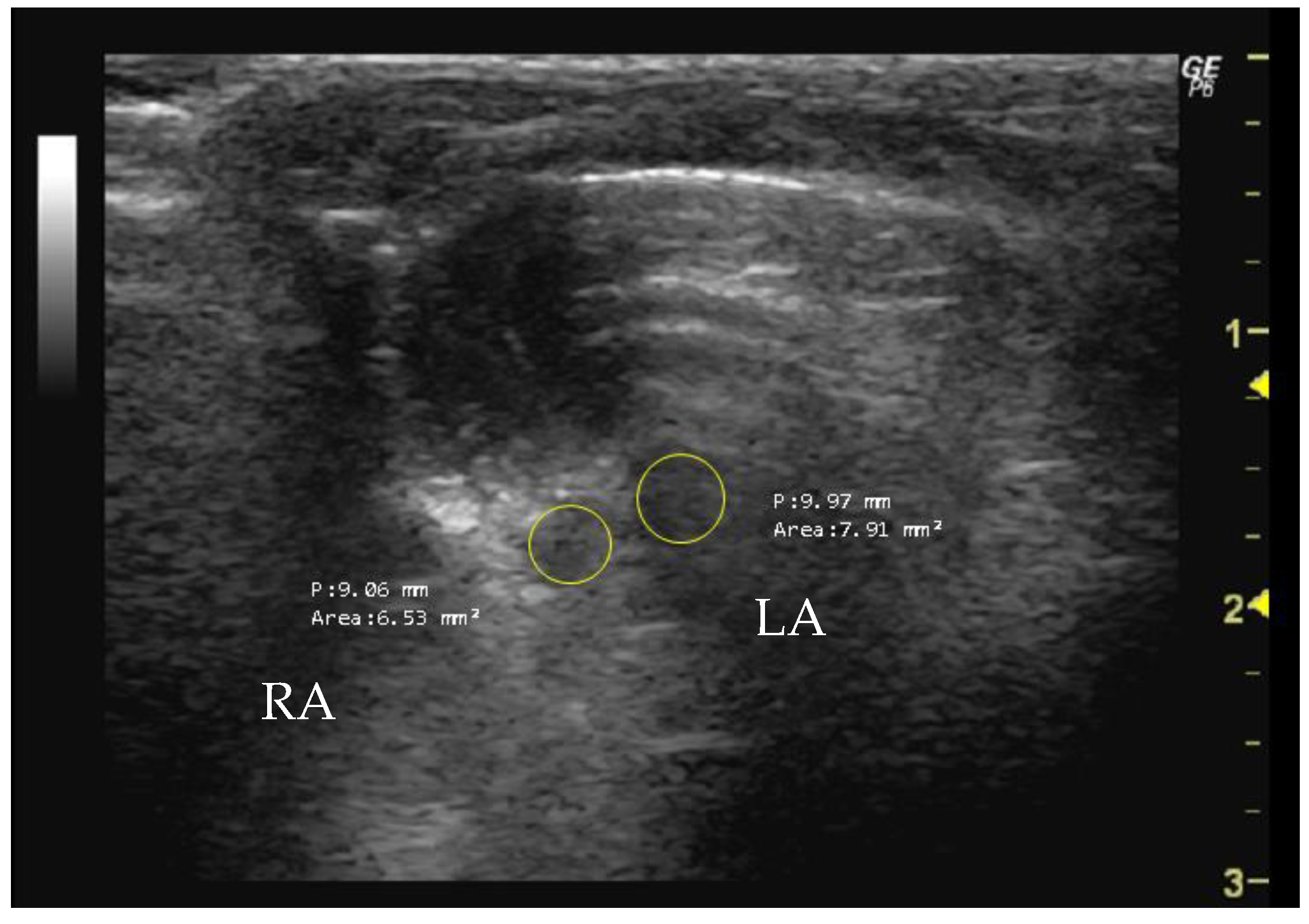 Jimaging 10 00219 g010 Jimaging 10 00219 g010