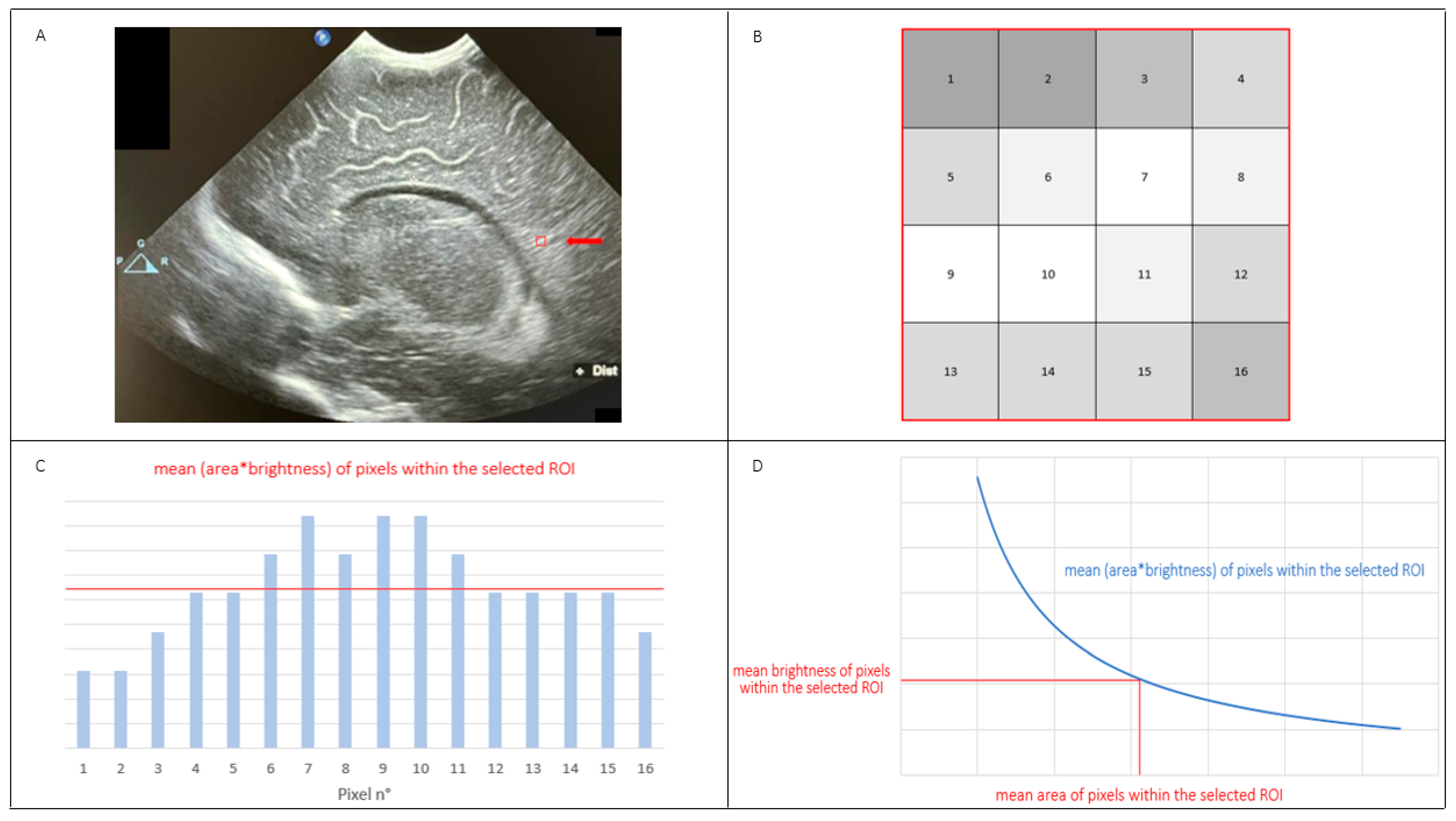 Jimaging 10 00224 g001