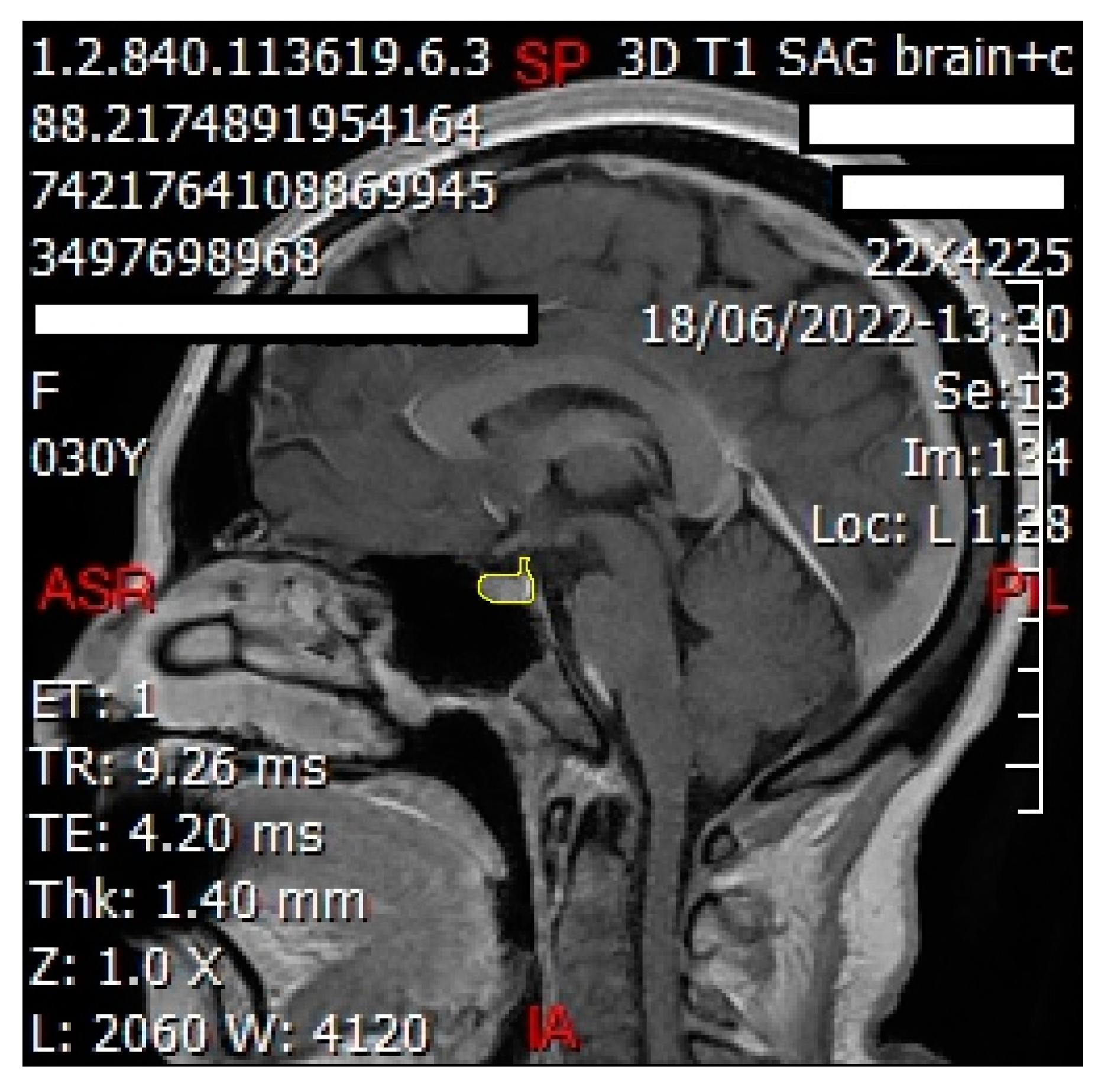 Jimaging 10 00226 g002