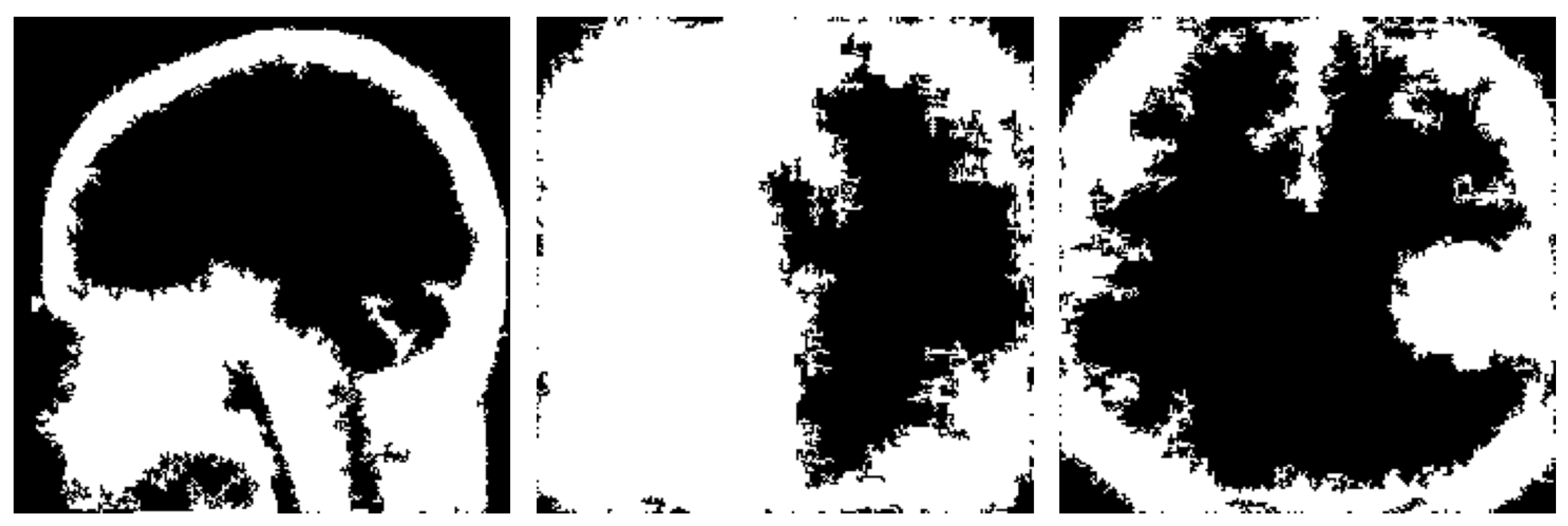 Jimaging 10 00232 g019