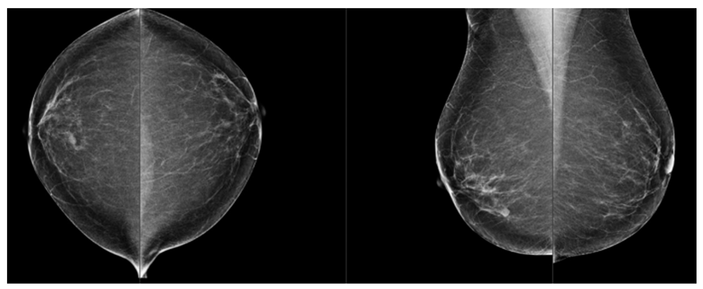 Jimaging 10 00238 g002