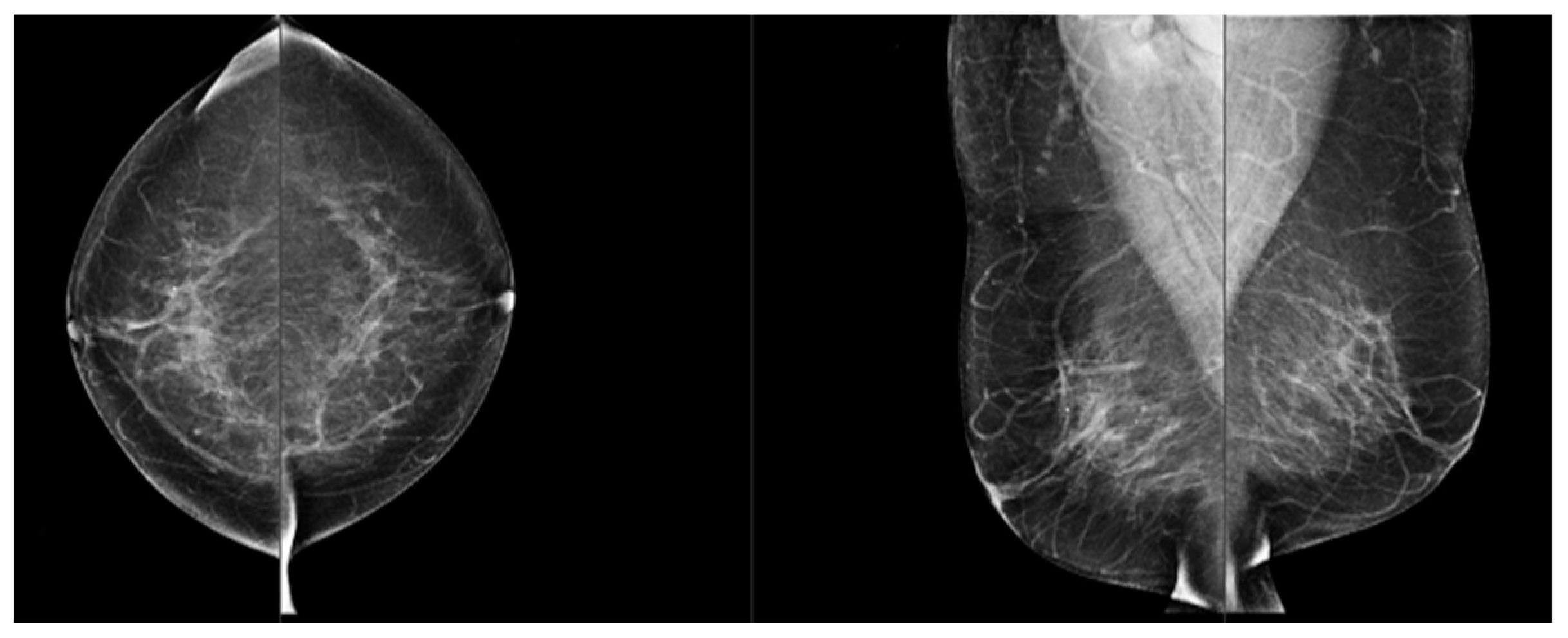 Jimaging 10 00238 g003