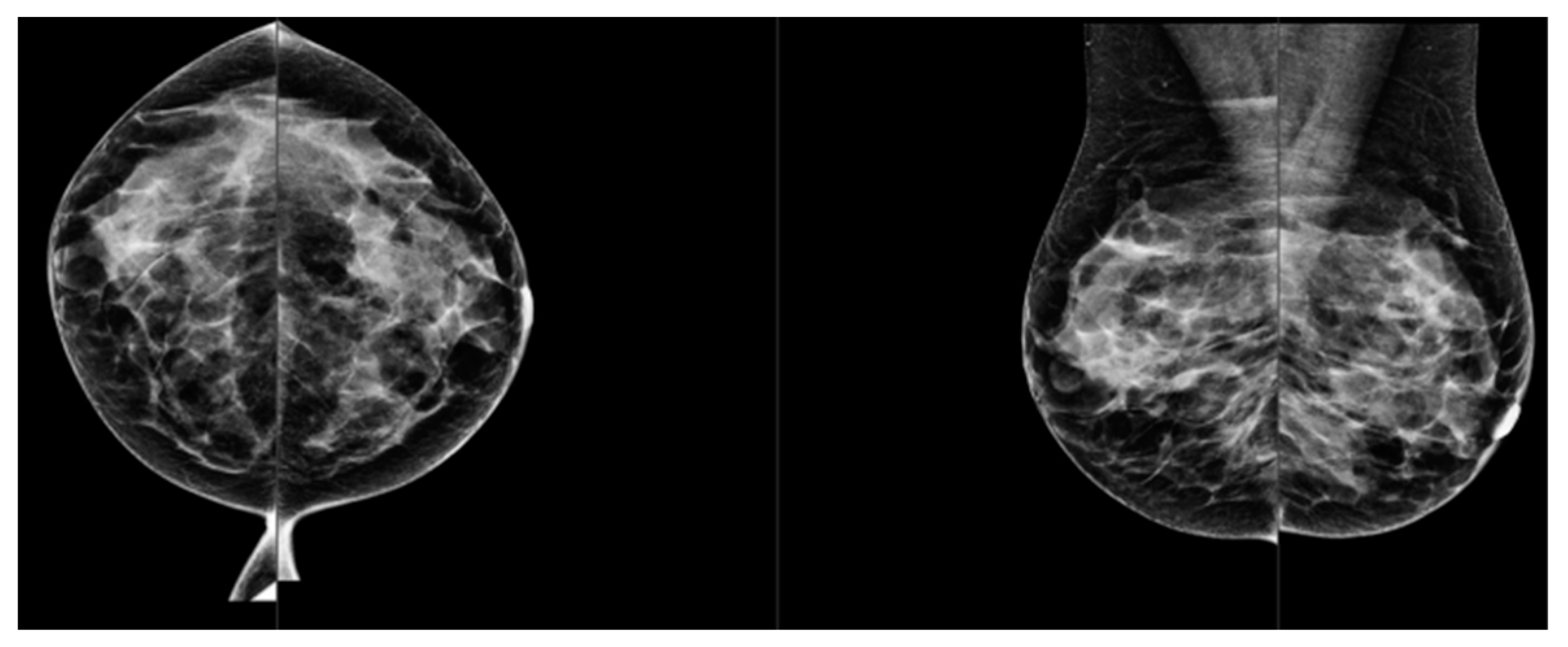 Jimaging 10 00238 g004