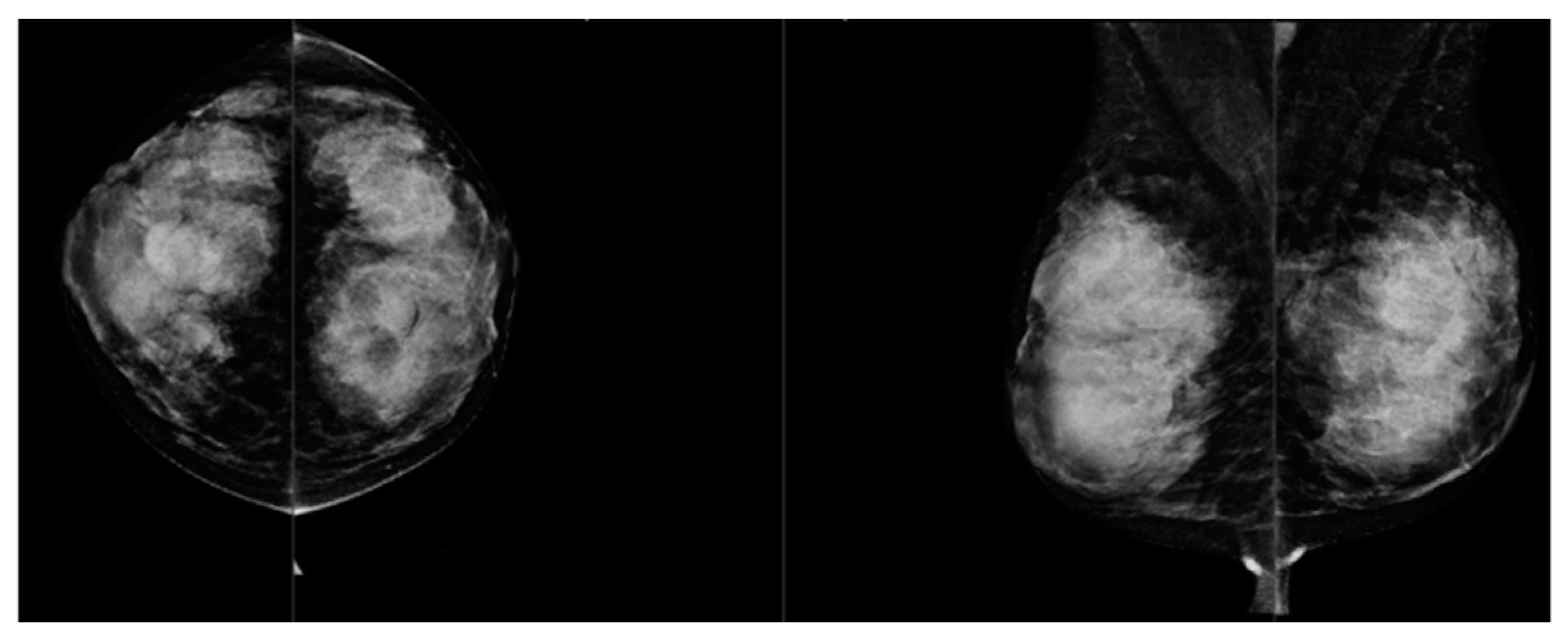 Jimaging 10 00238 g005