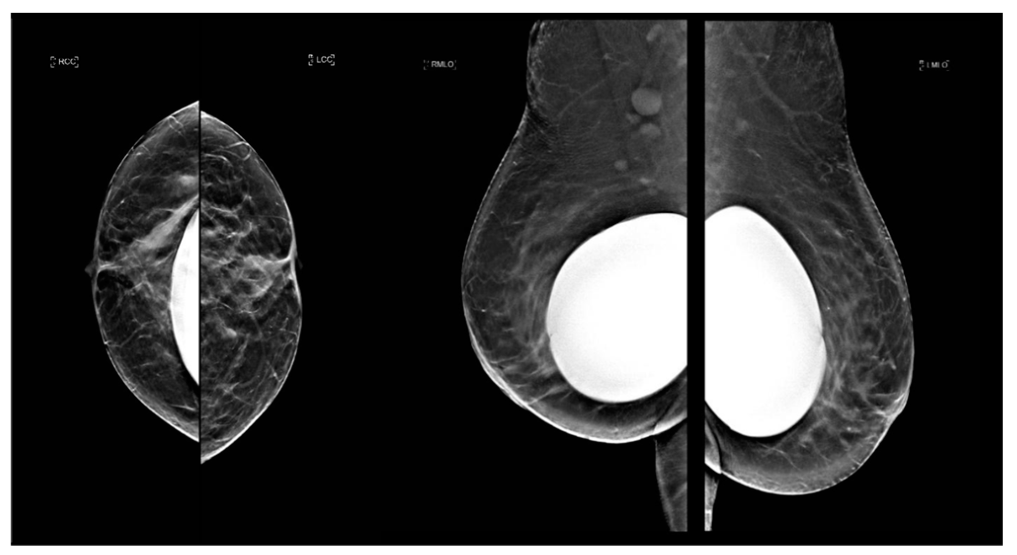 Jimaging 10 00238 g007