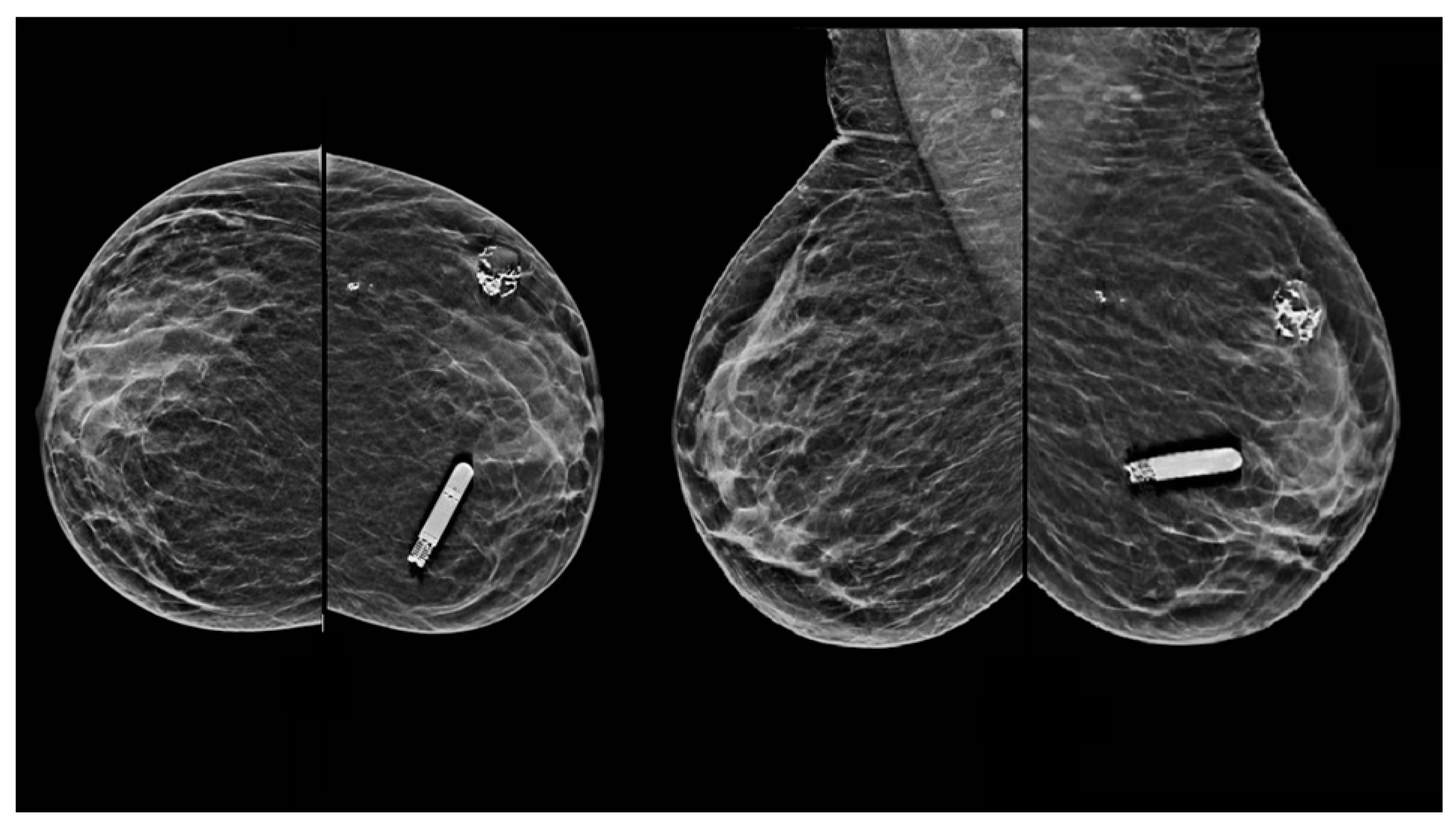 Jimaging 10 00238 g008