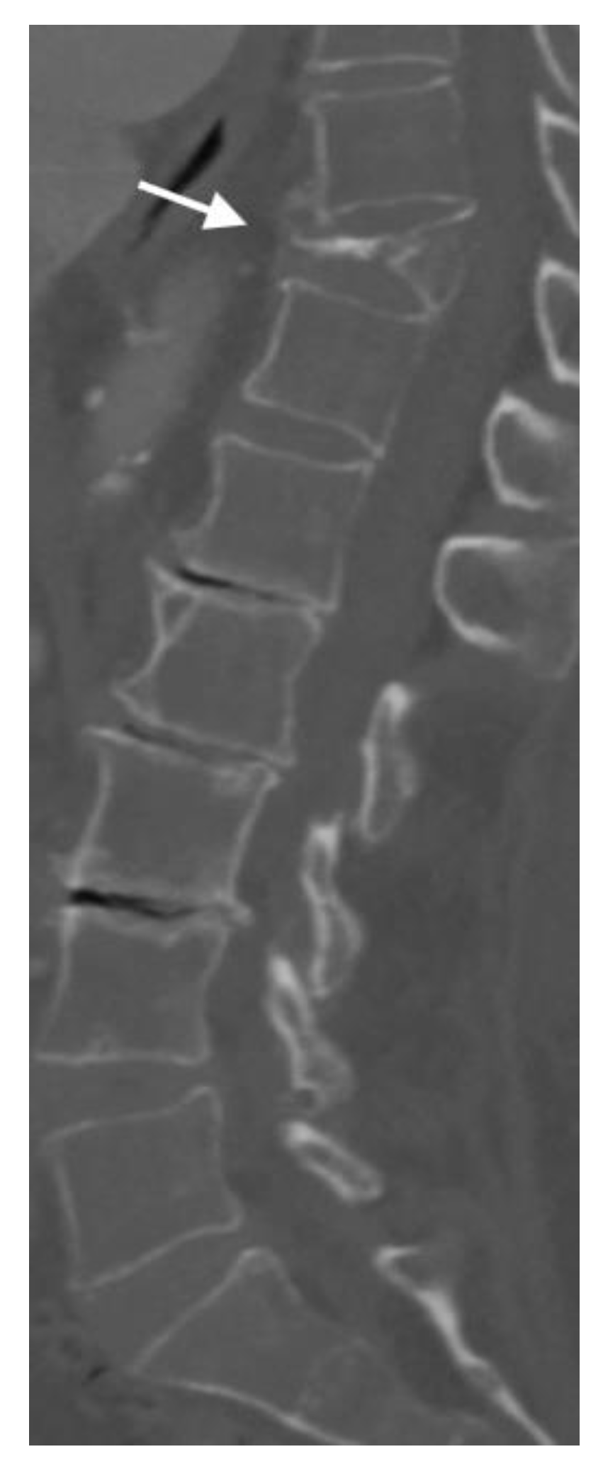 Jimaging 10 00244 g003