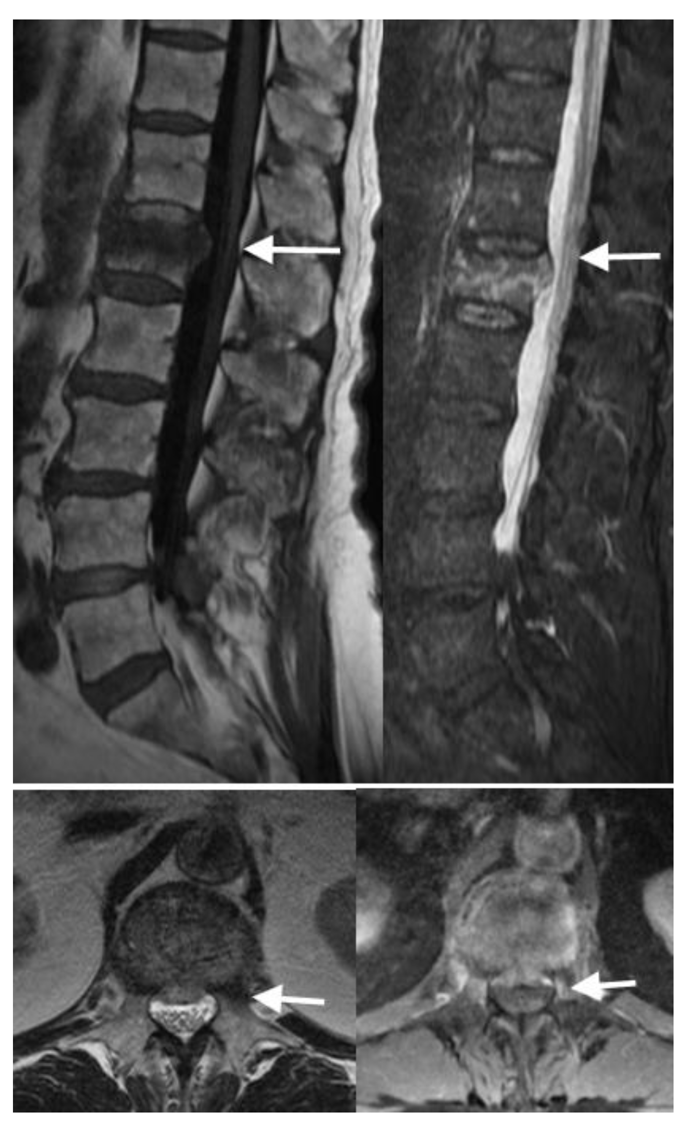 Jimaging 10 00244 g007