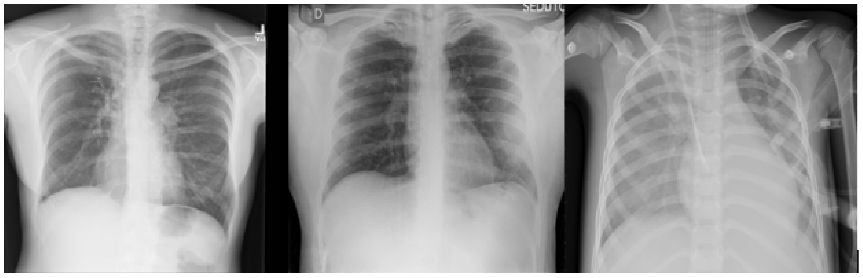 Jimaging 10 00250 g002