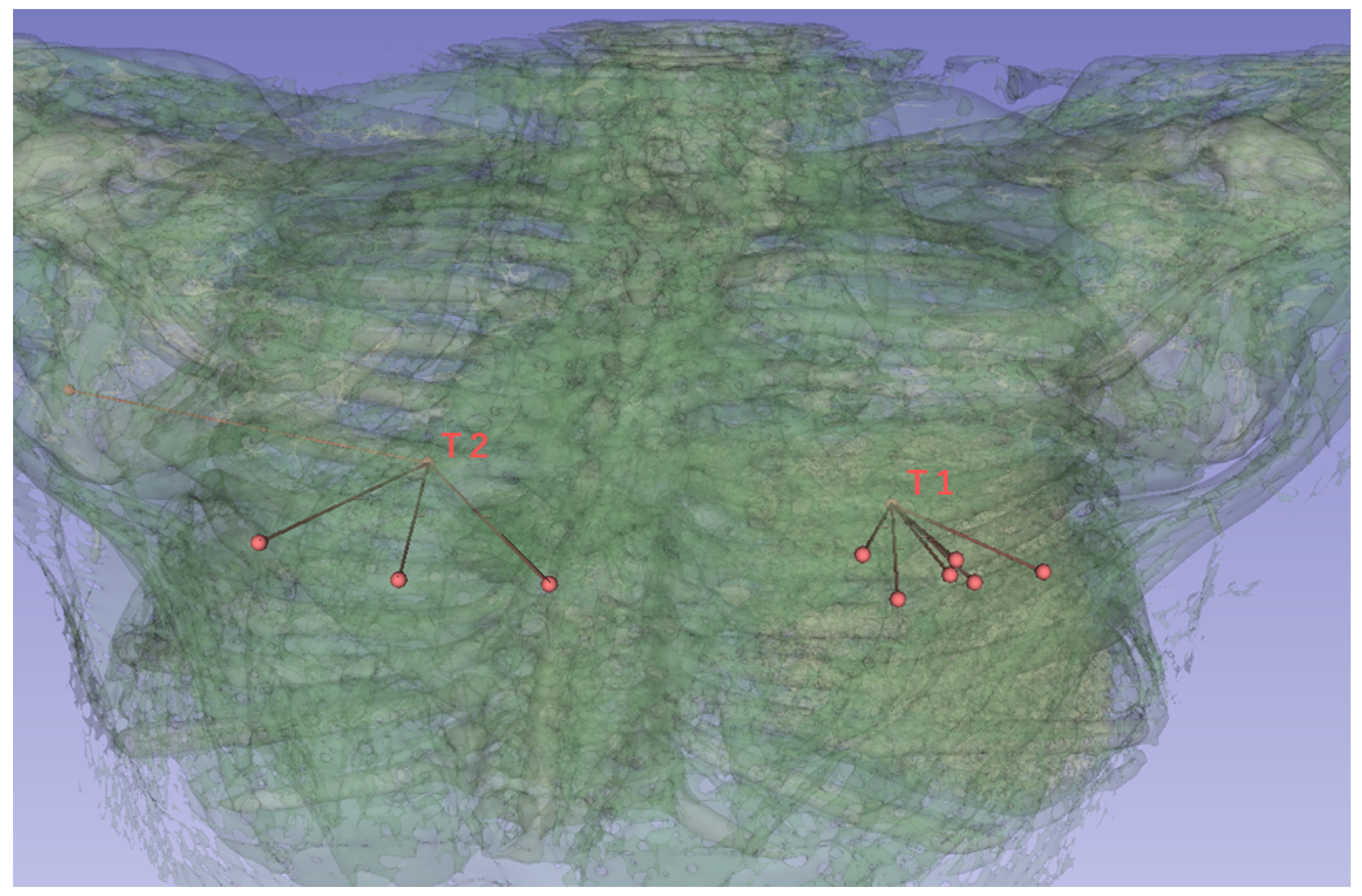 Jimaging 10 00251 g010