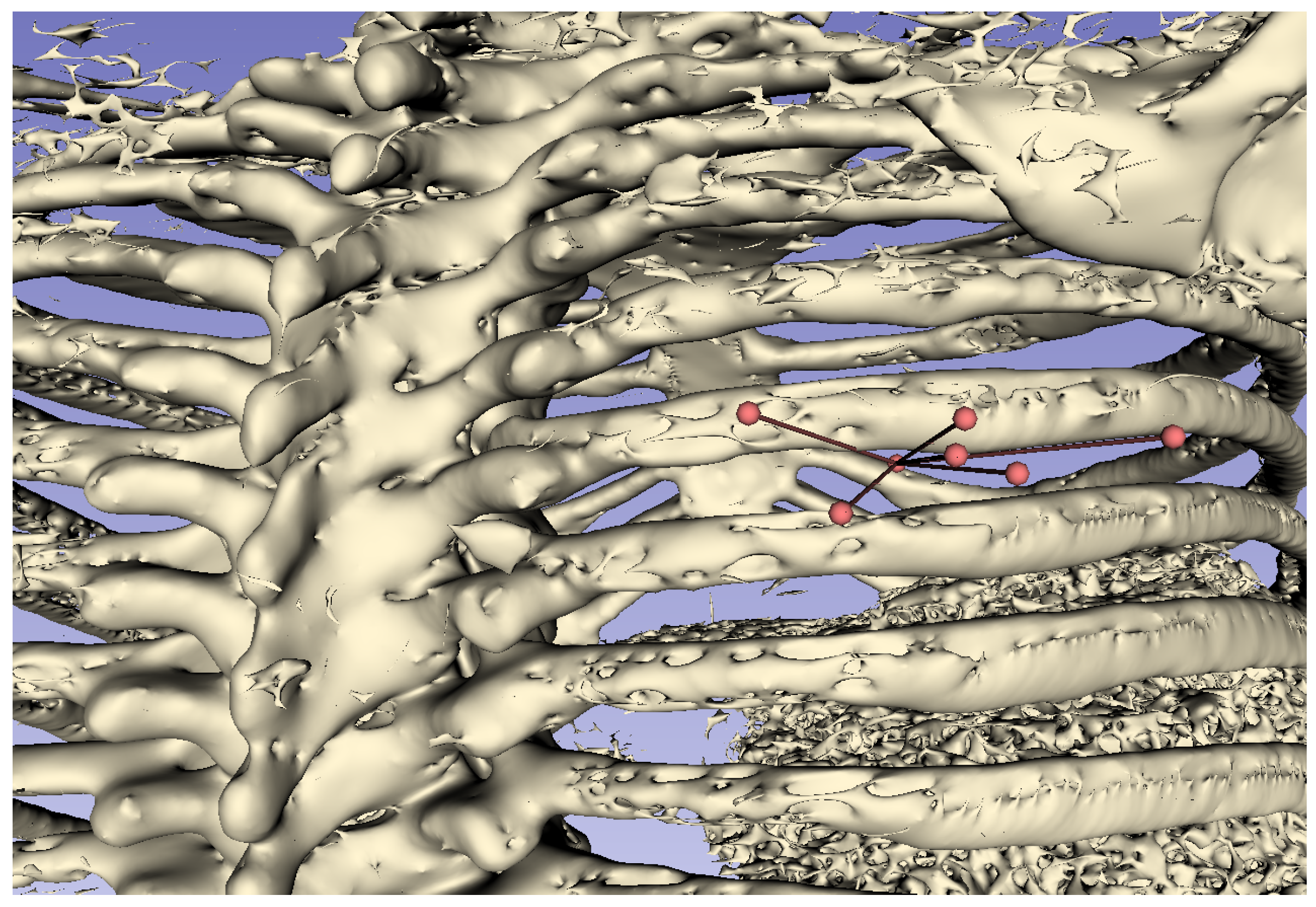 Jimaging 10 00251 g011