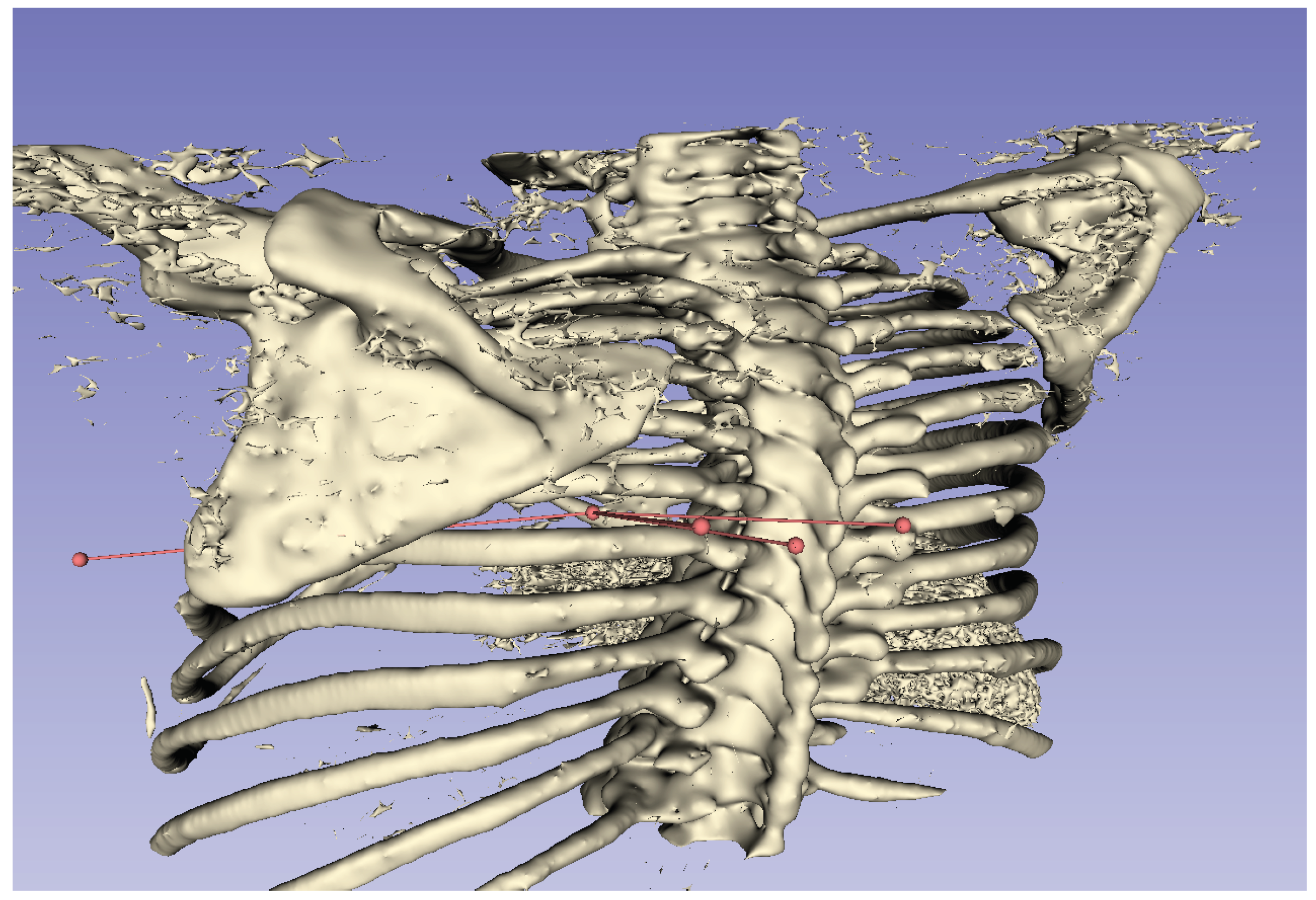 Jimaging 10 00251 g012