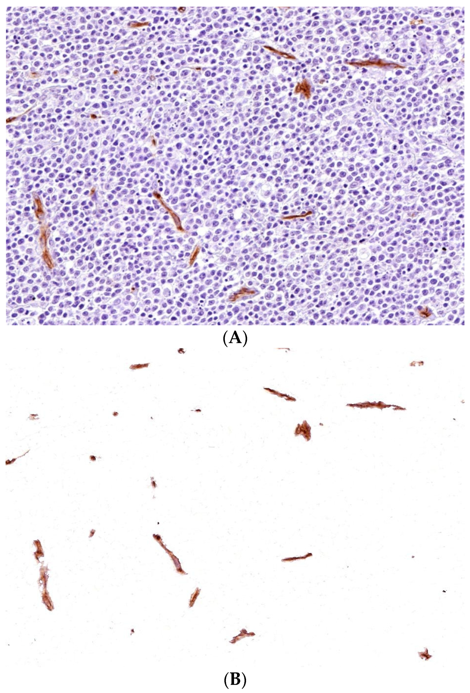 Jimaging 10 00252 g004