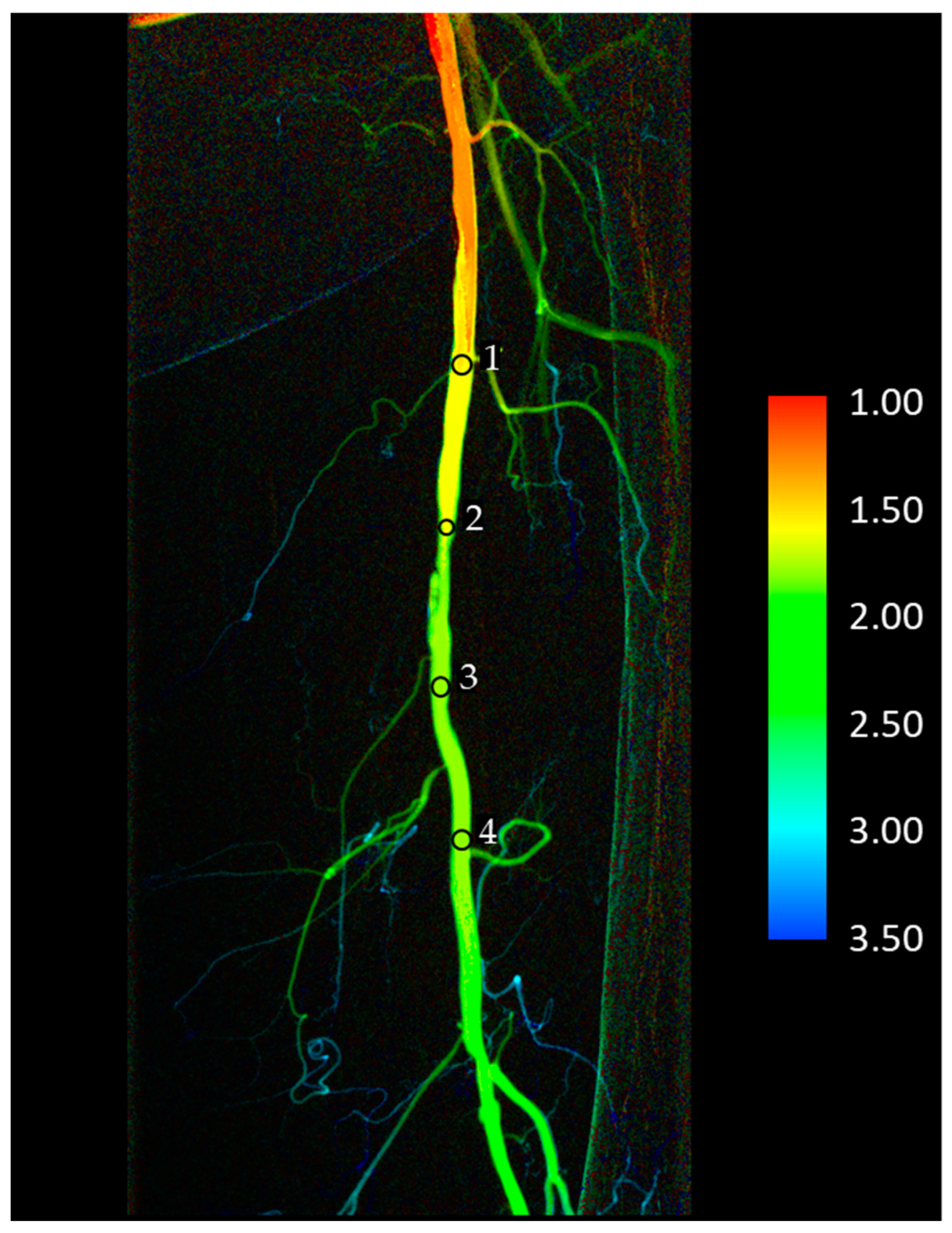 Jimaging 10 00260 g002