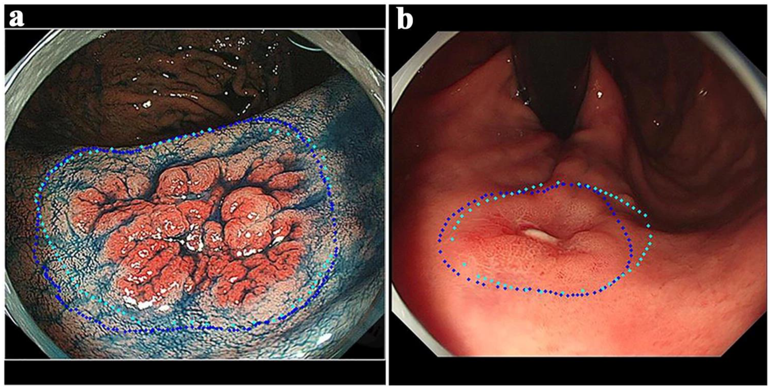 Jimaging 10 00275 g001