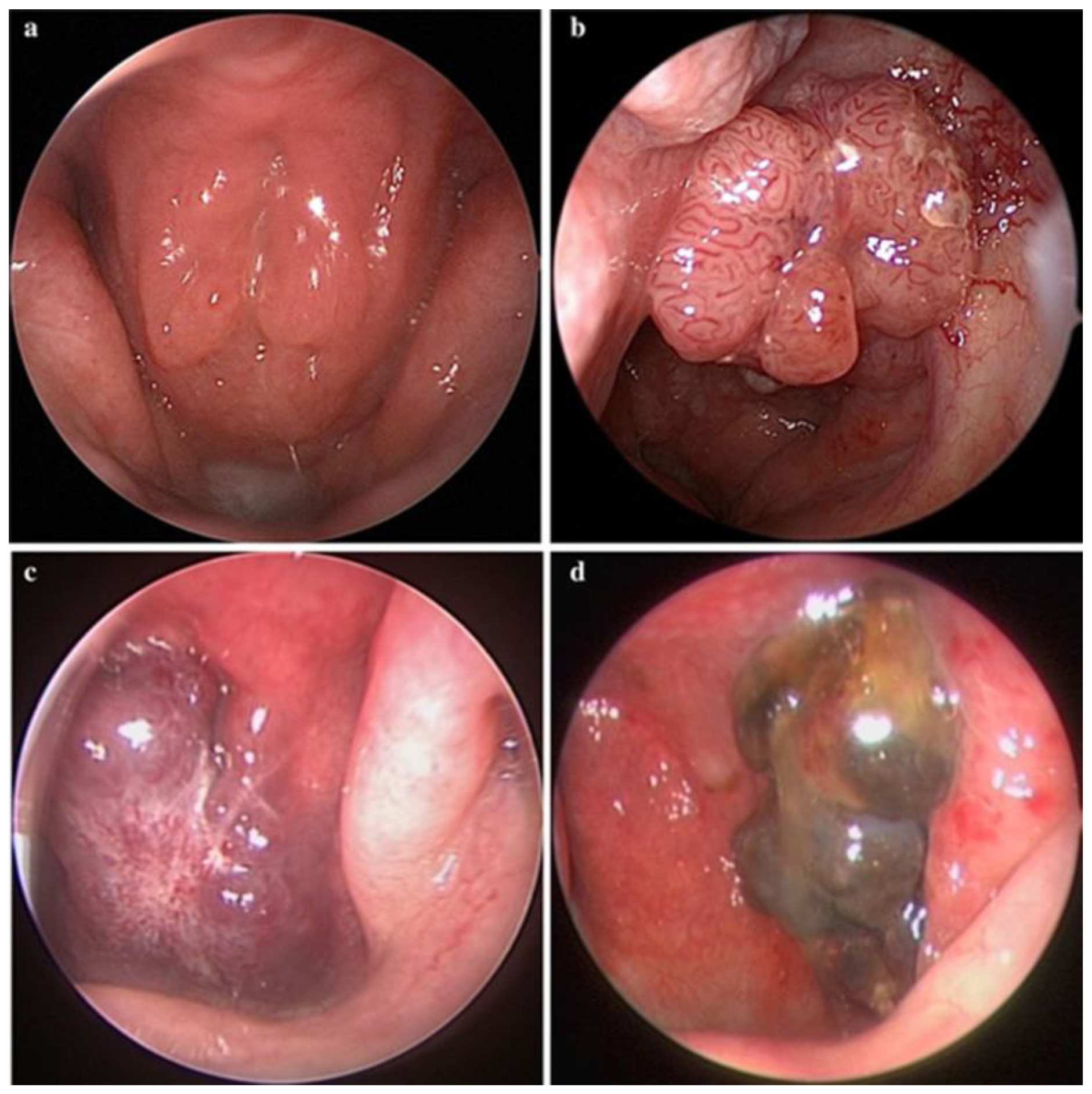 Jimaging 10 00275 g003