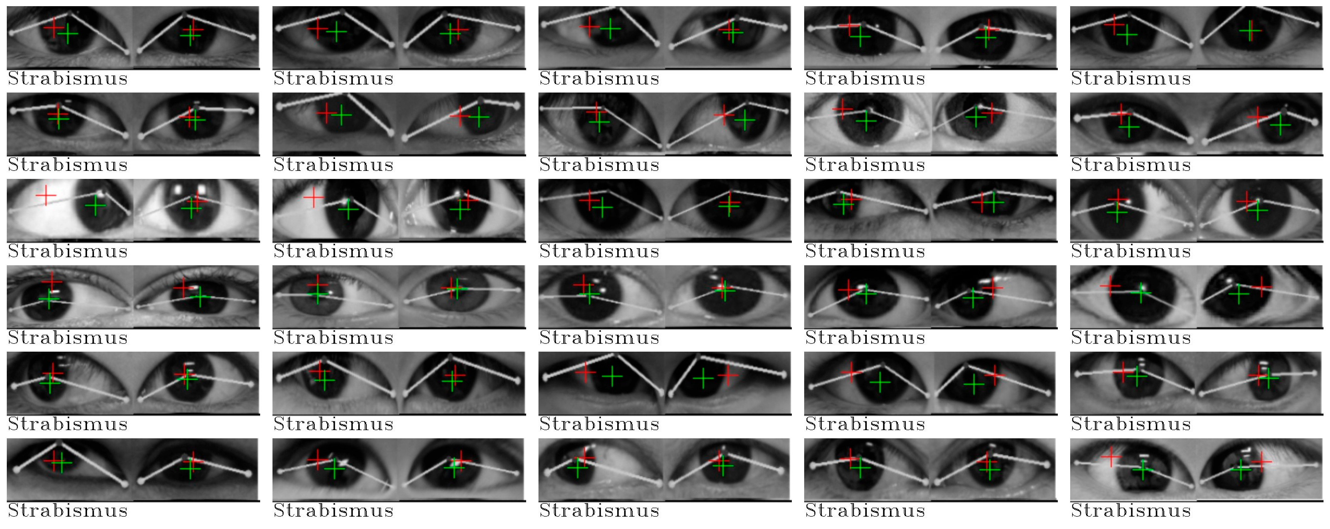 Jimaging 10 00284 g007