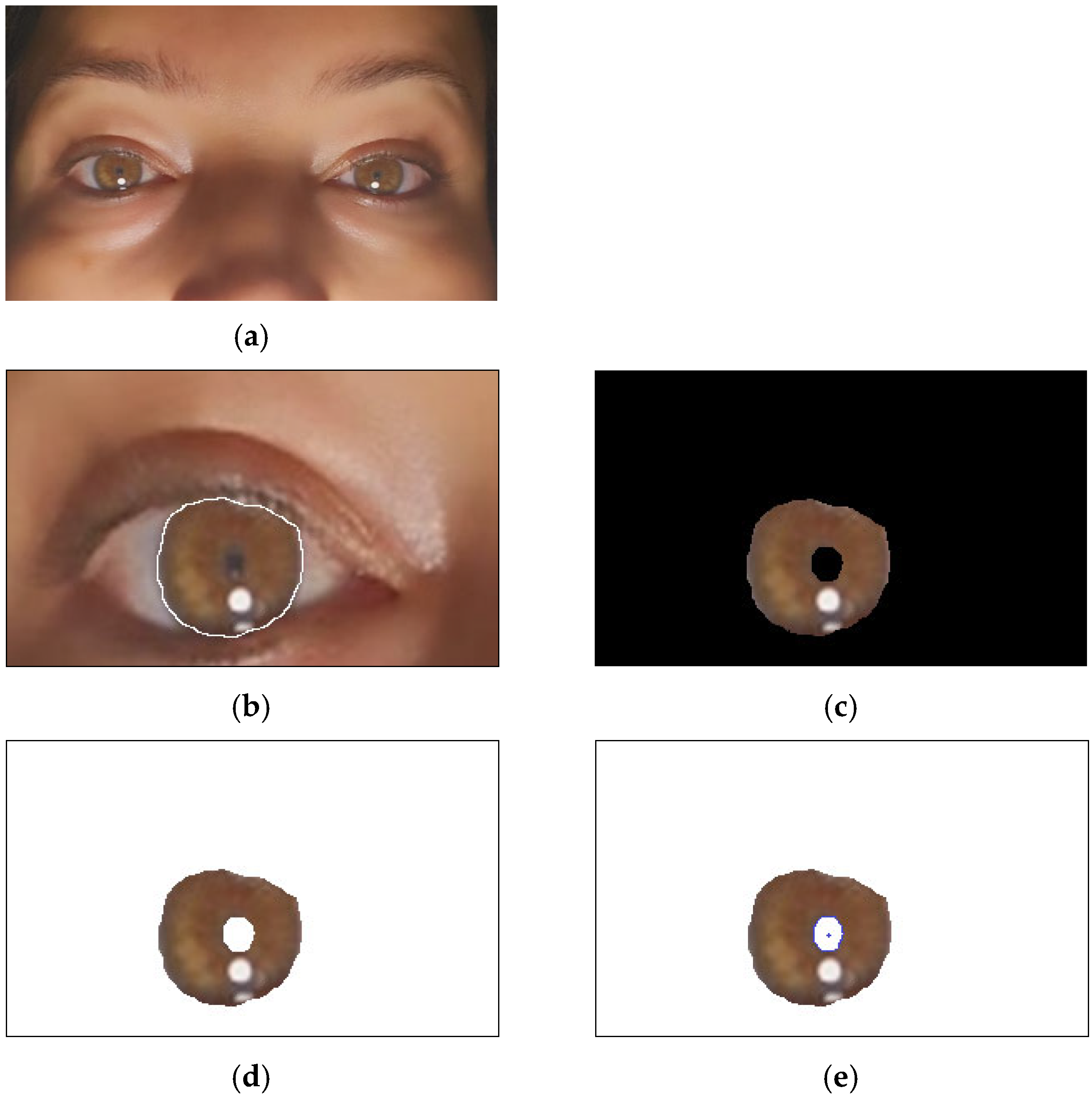 Jimaging 10 00288 g003