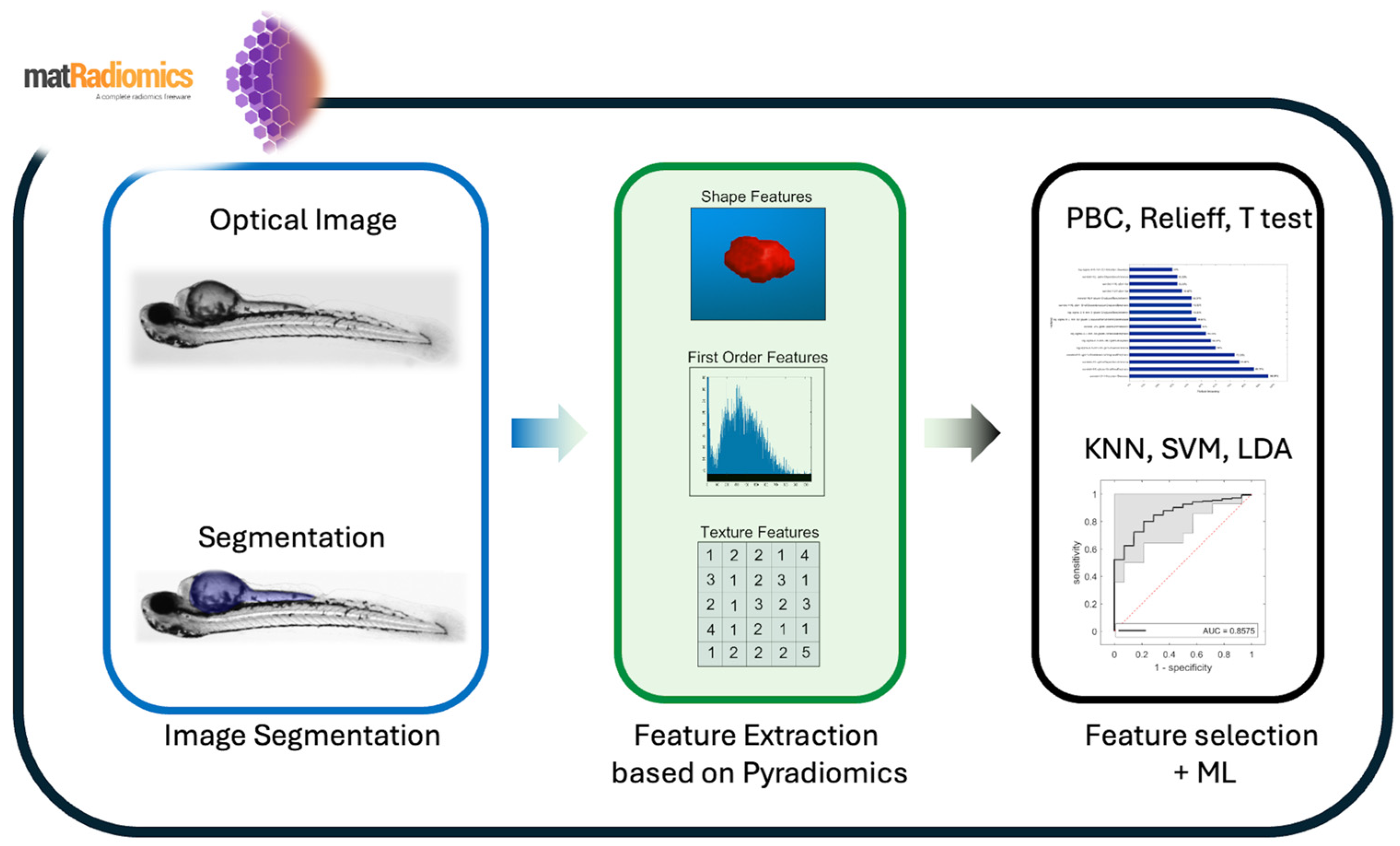 Jimaging 10 00290 g001
